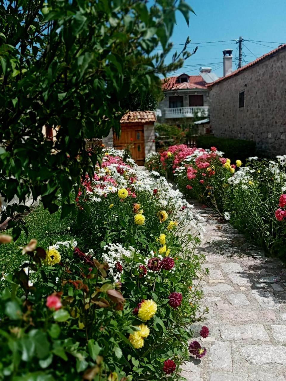 Bujtina SHKODRANI