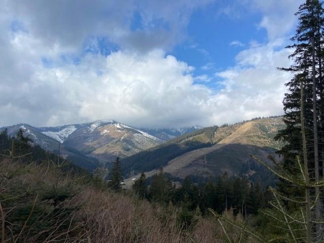 Chata Simon view 2
