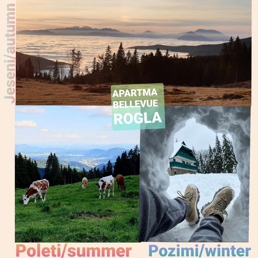 Apartma Bellevue Rogla view 3