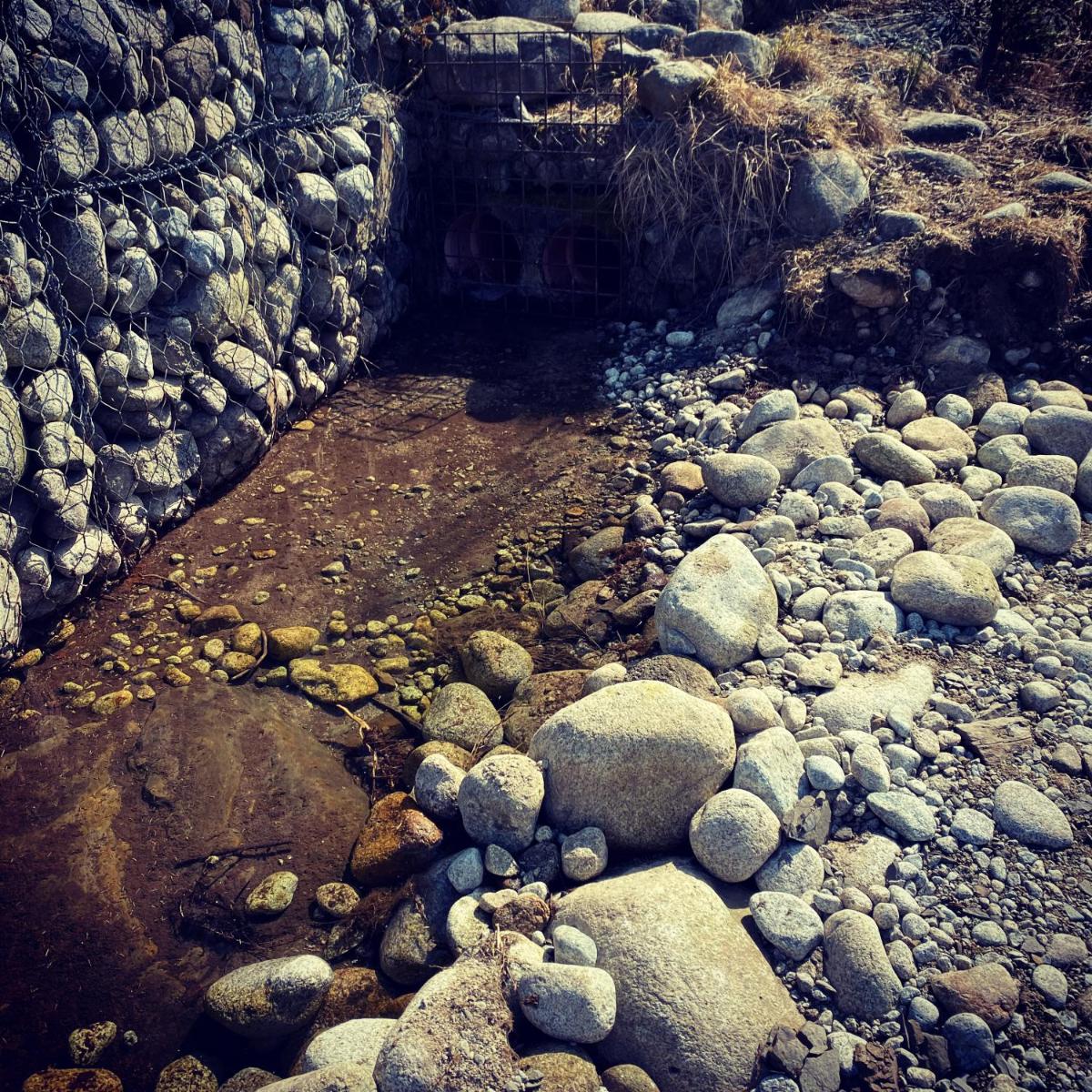 Photo 32