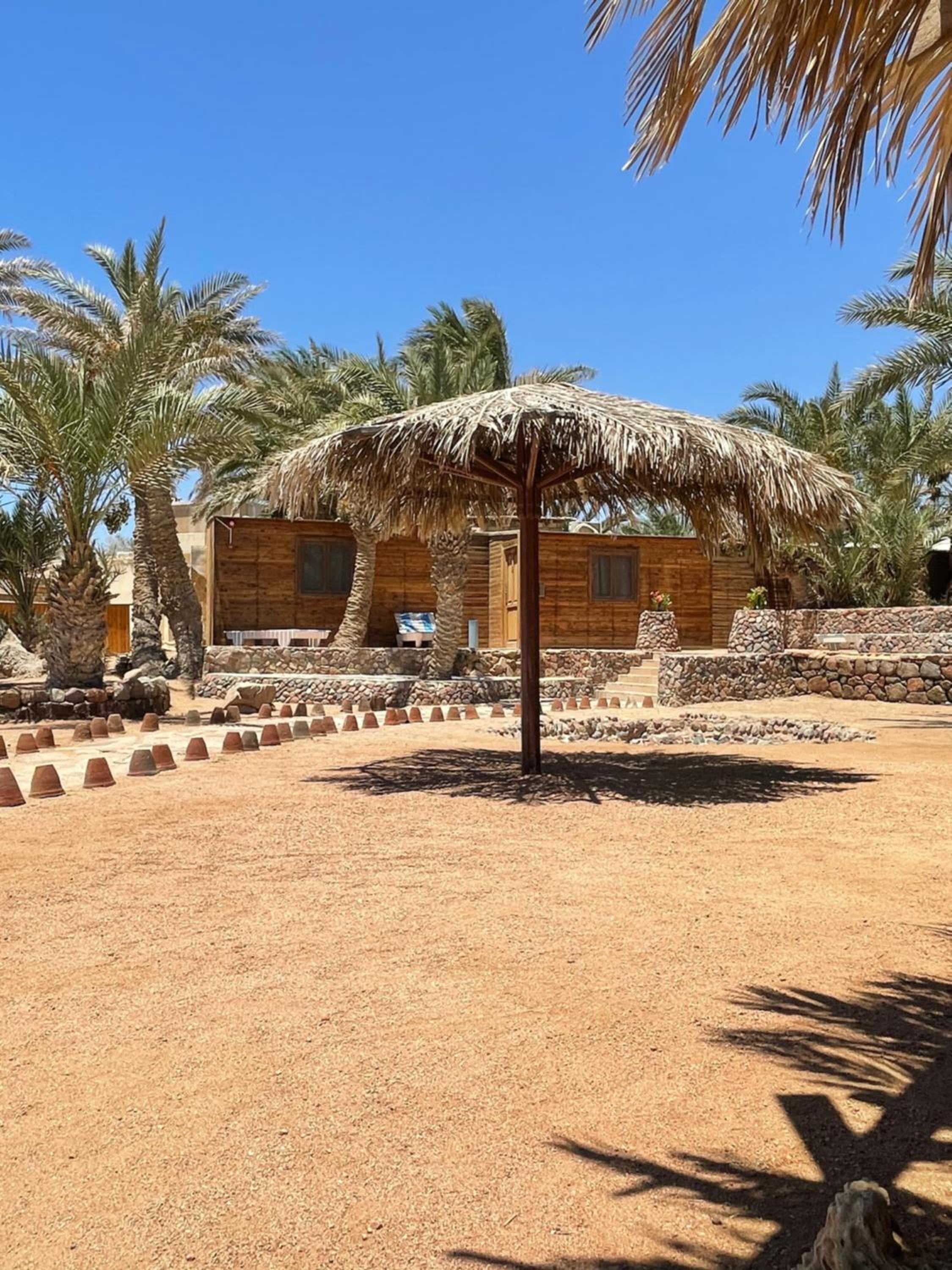 Dolphin Camp