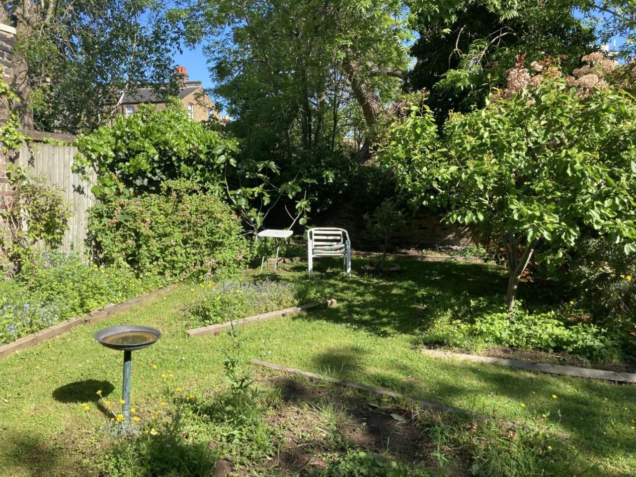 garden