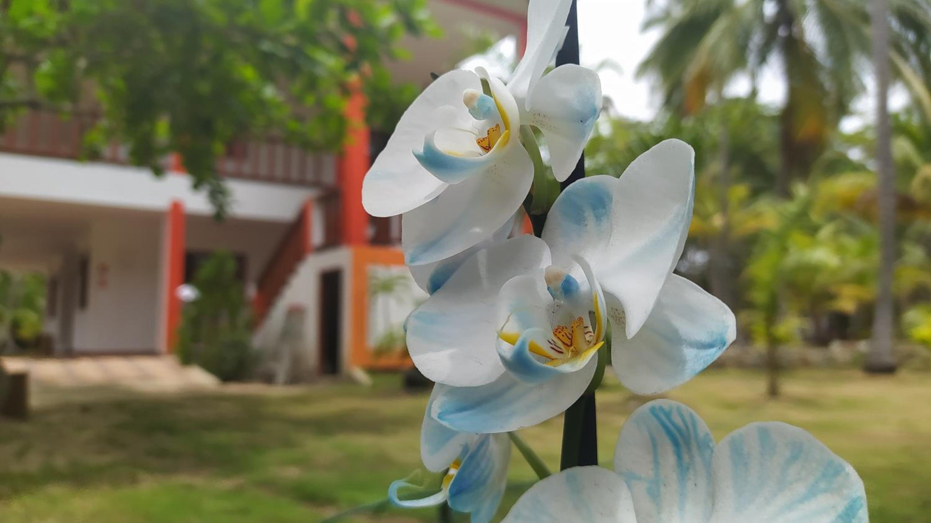 Playa Mareygua Hostal