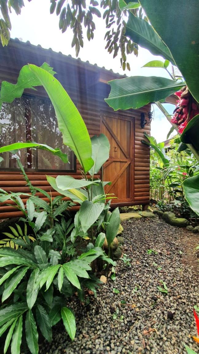 Arenal Rústic Lodge