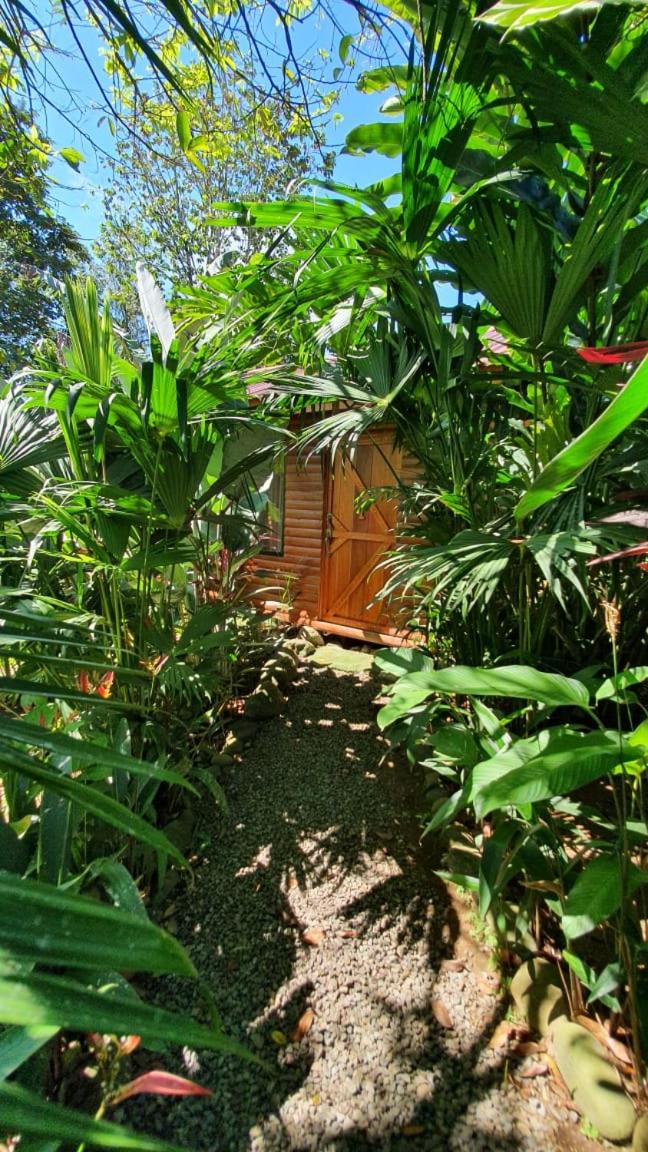 Arenal Rústic Lodge