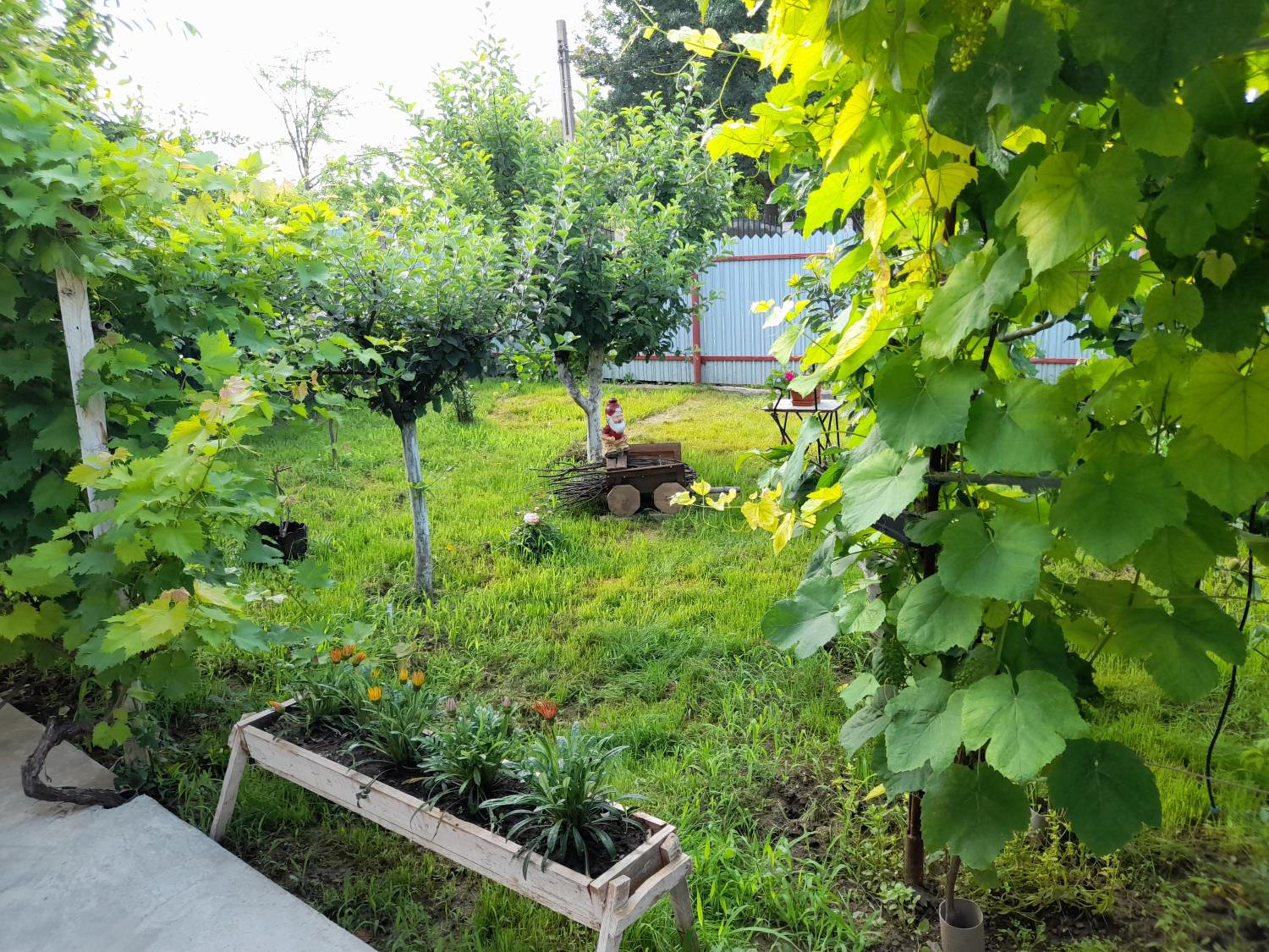 Casa Elena, photo 12