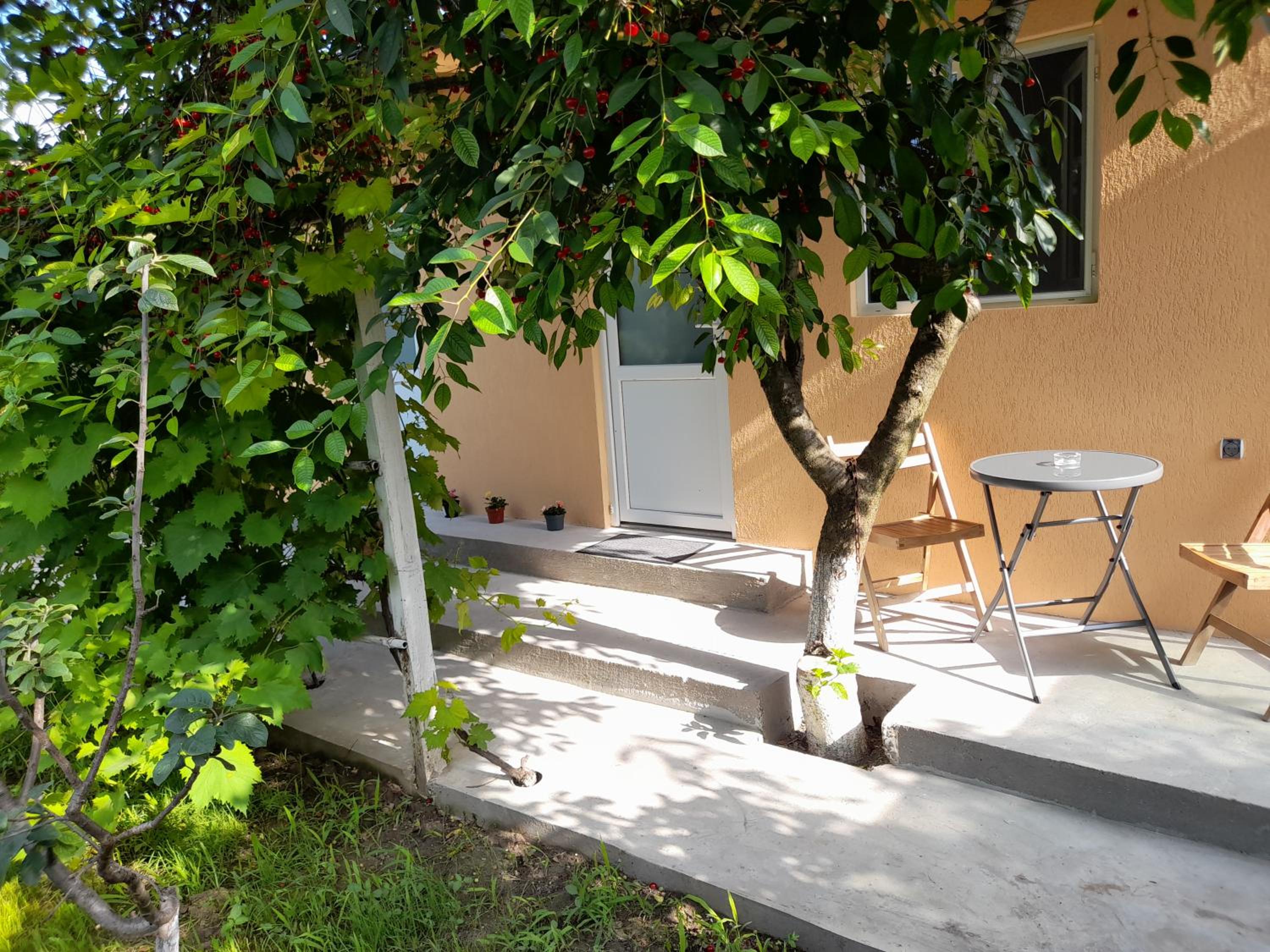 Photo 15