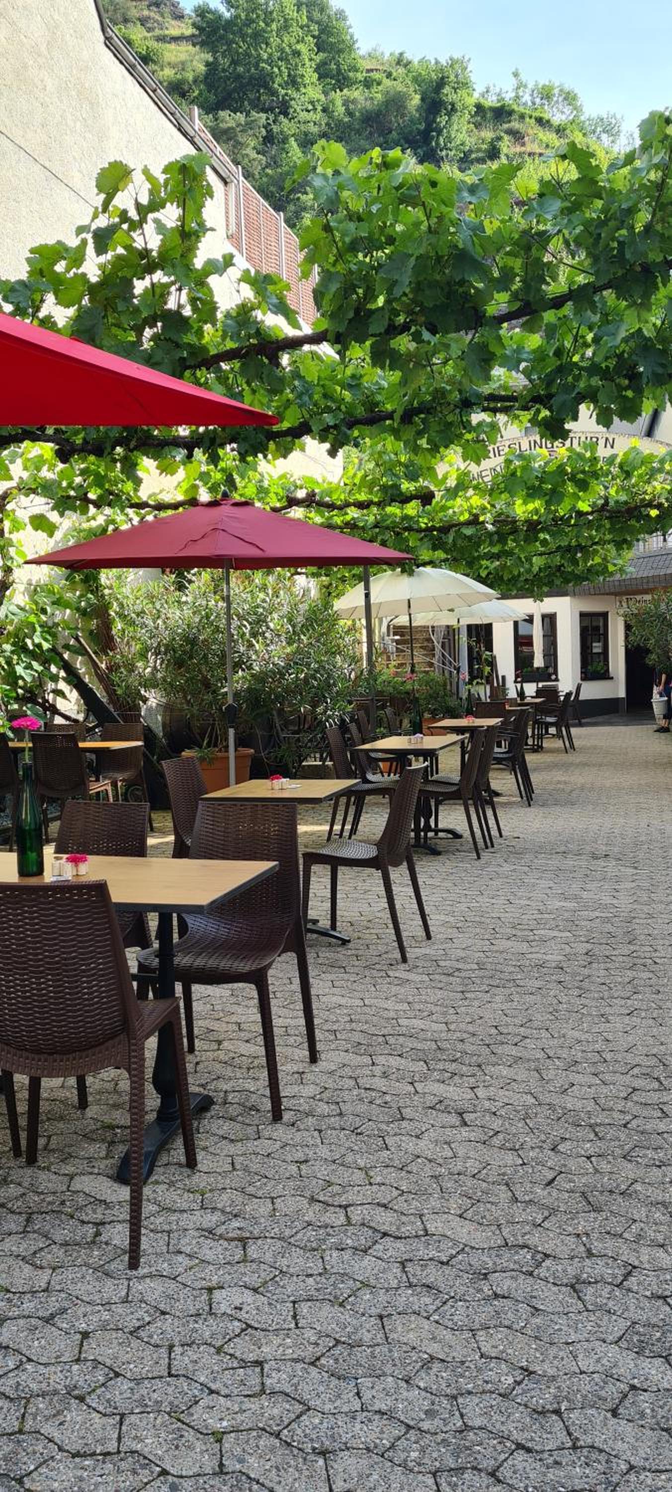 Weingut Haxel