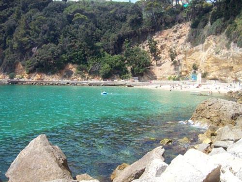 Photo 45