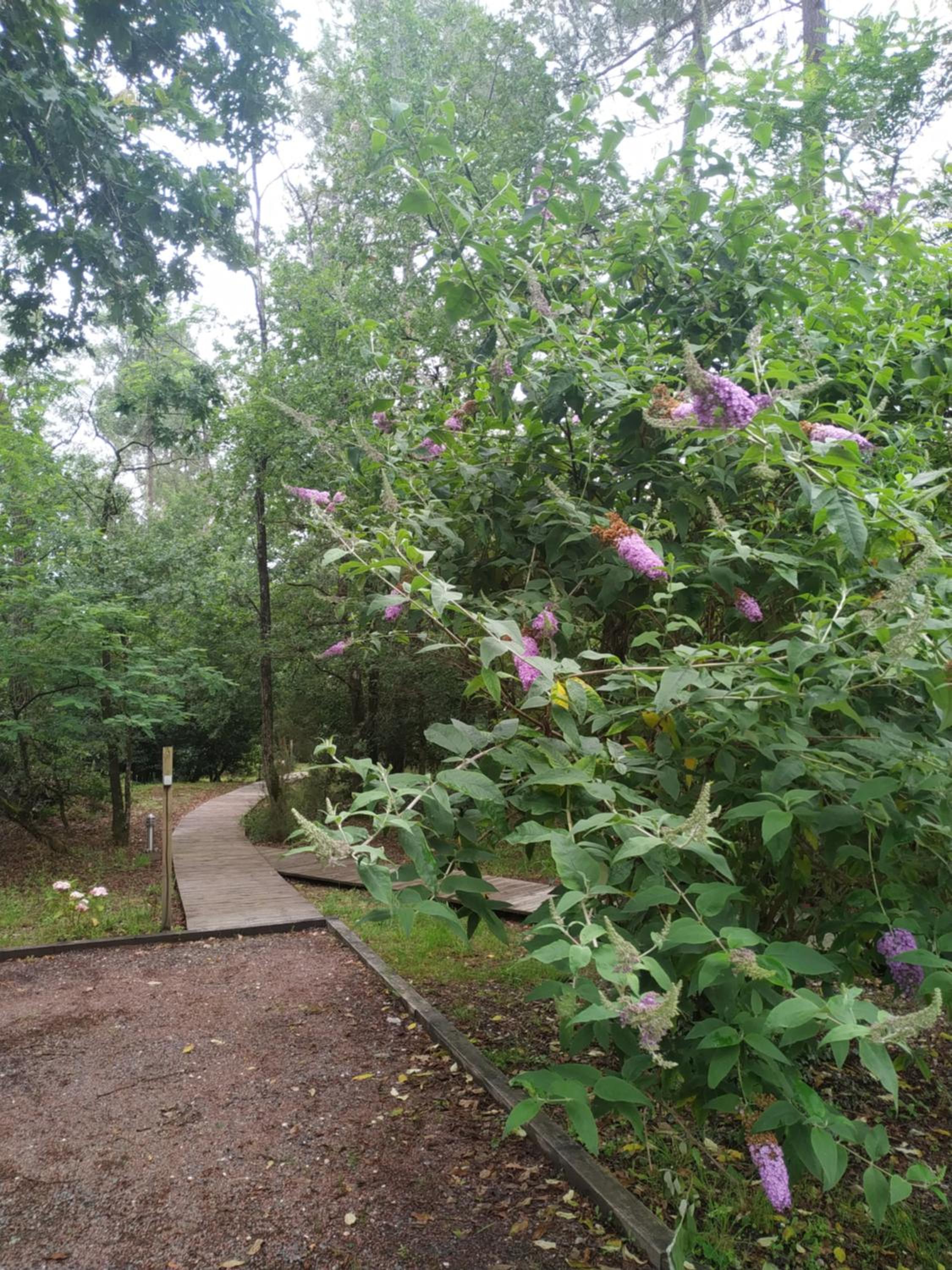 Les roulottes Vesta, photo 14