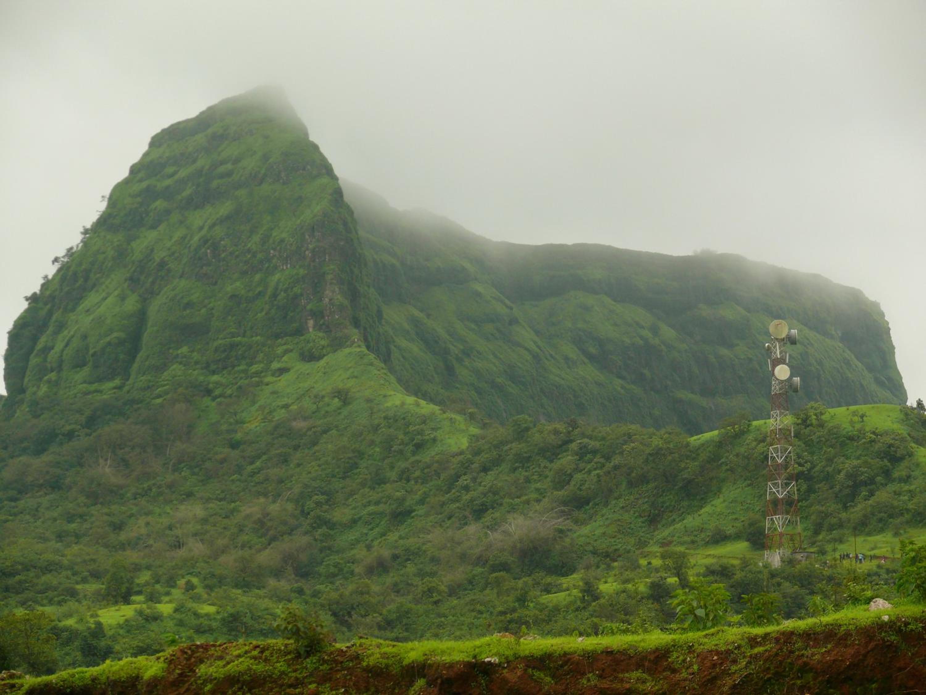 Green Fog Guesthouse view 5