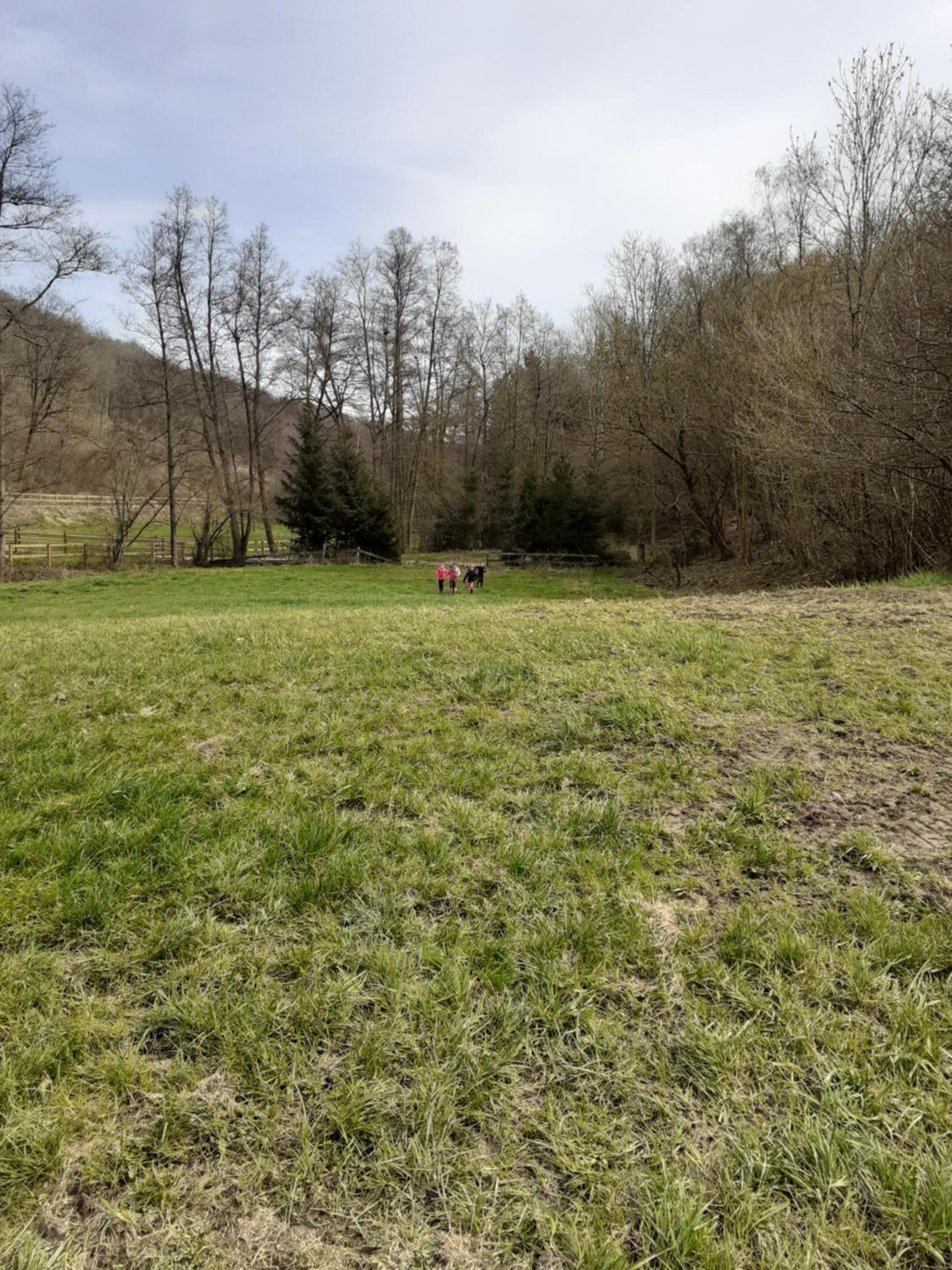Gîte Little Creek