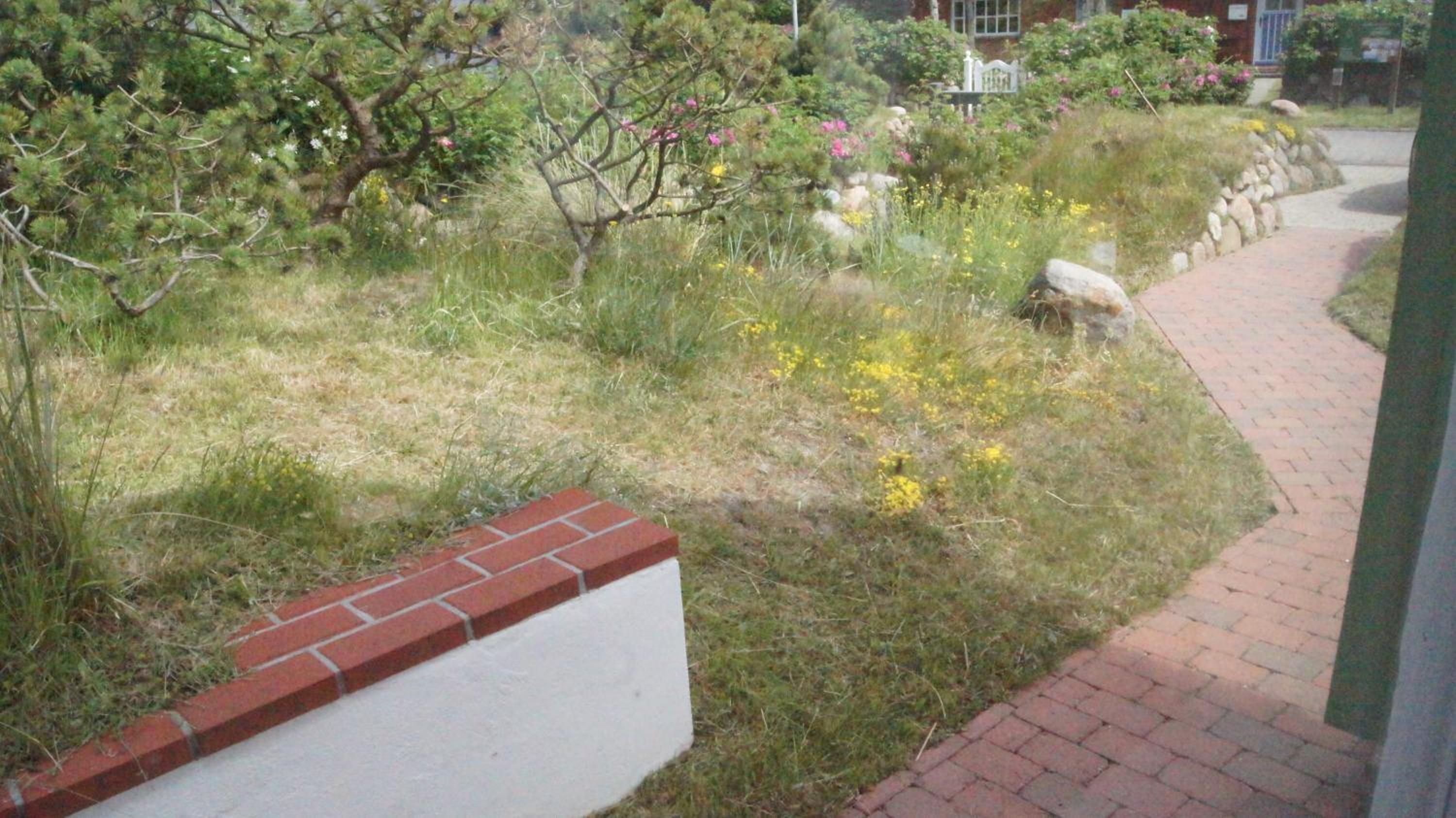 Photo 46