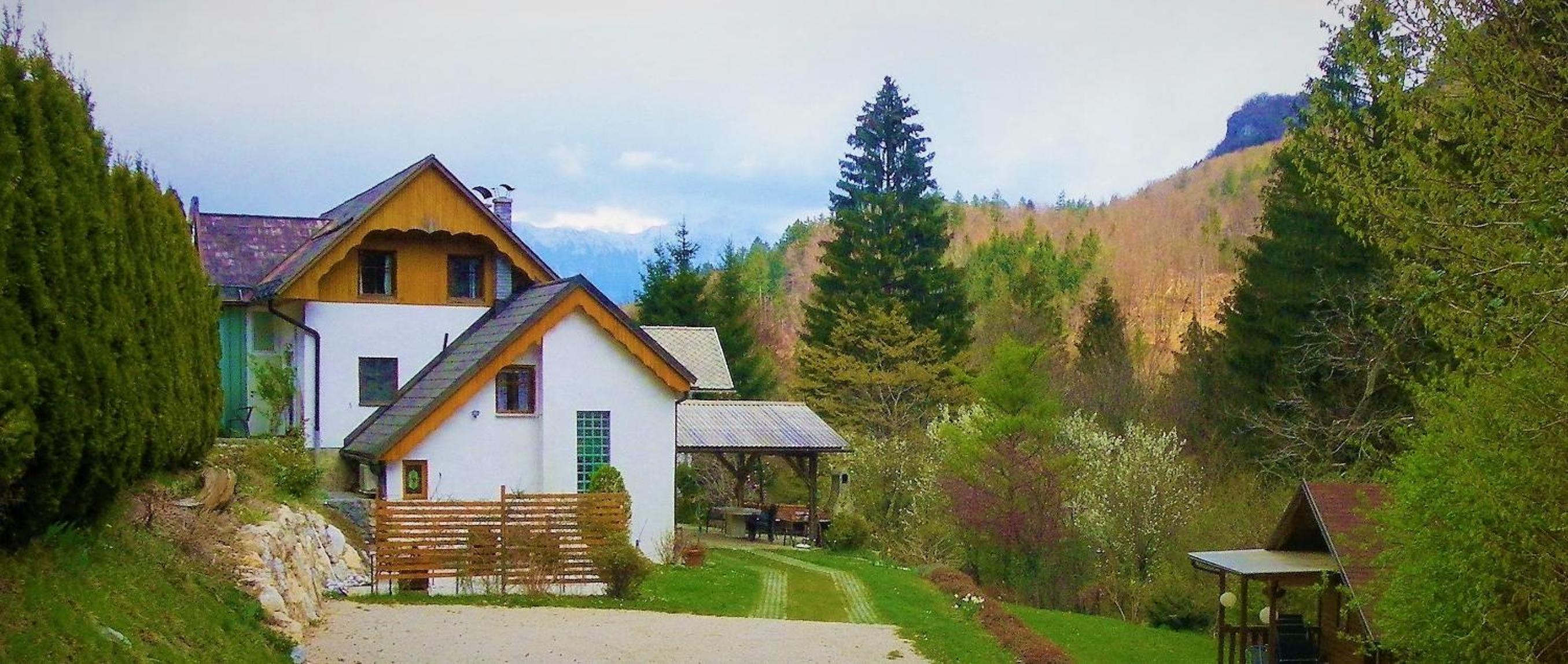 InGreen house view 2