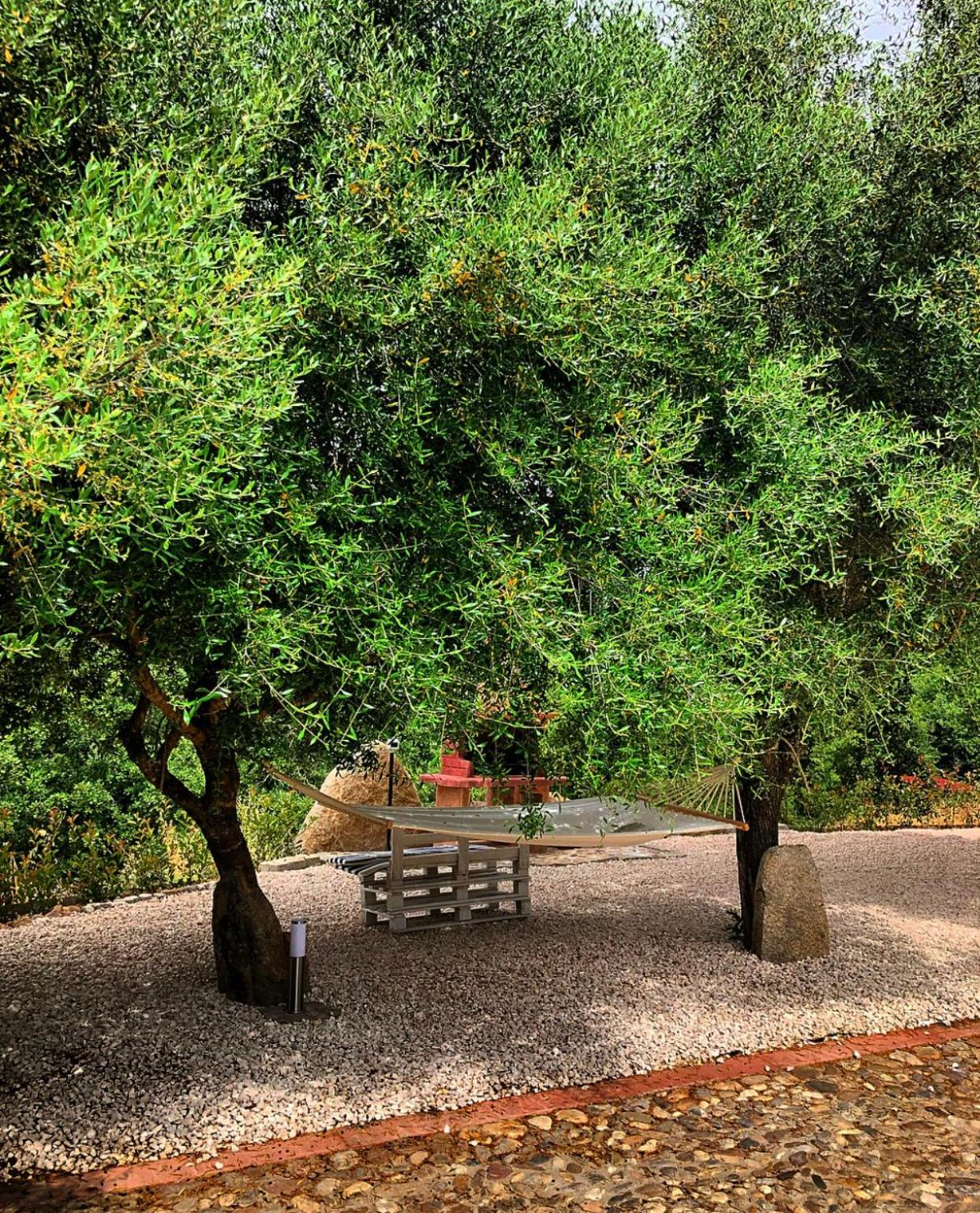 Casa vacanza centro Sardegna