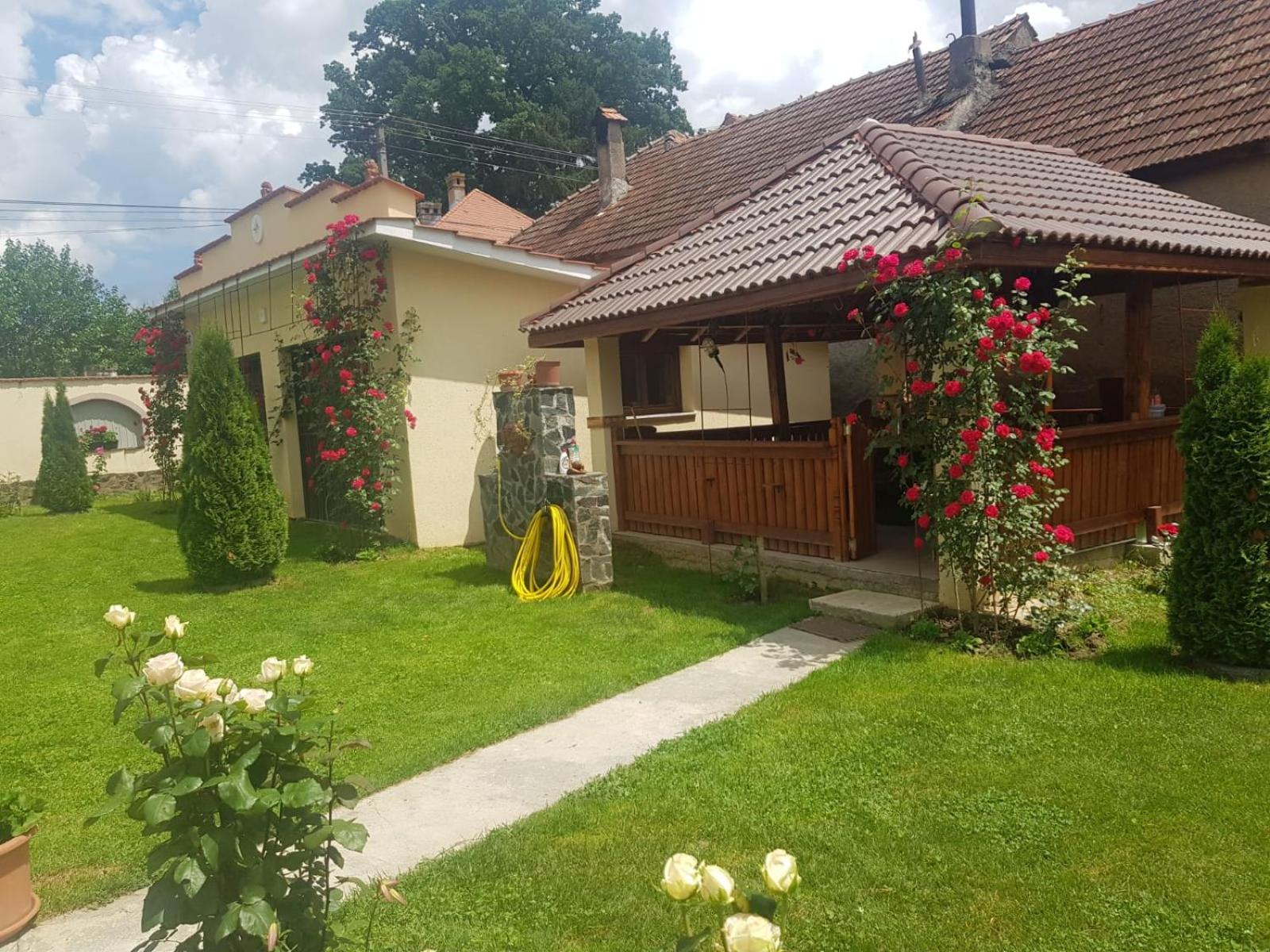 Photo 31