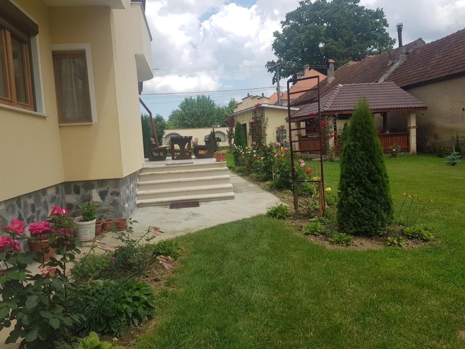 Photo 27