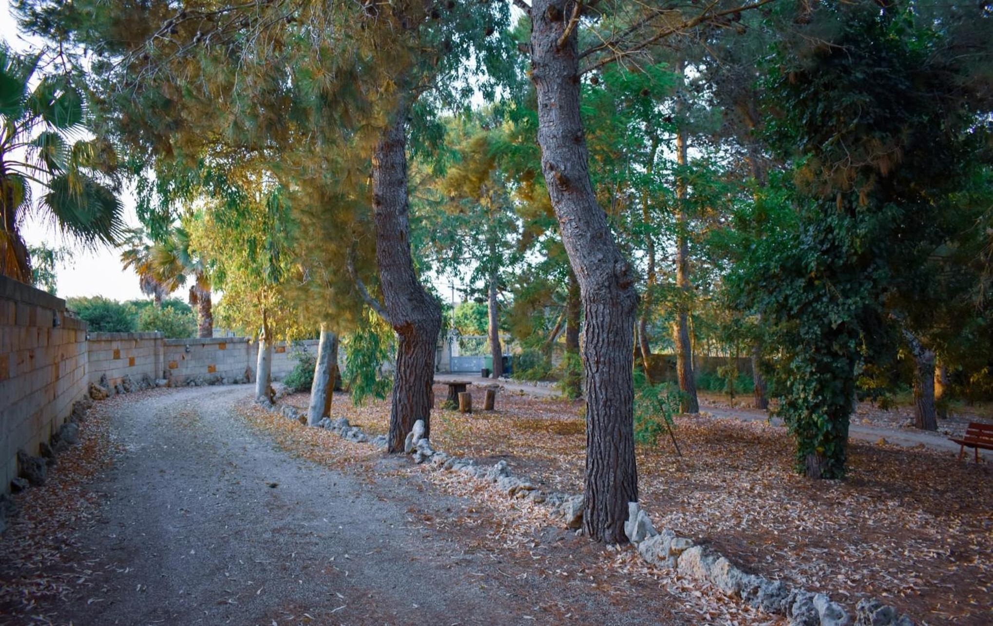 Appartamenti turistici Aprile Antonio Luigi view 5
