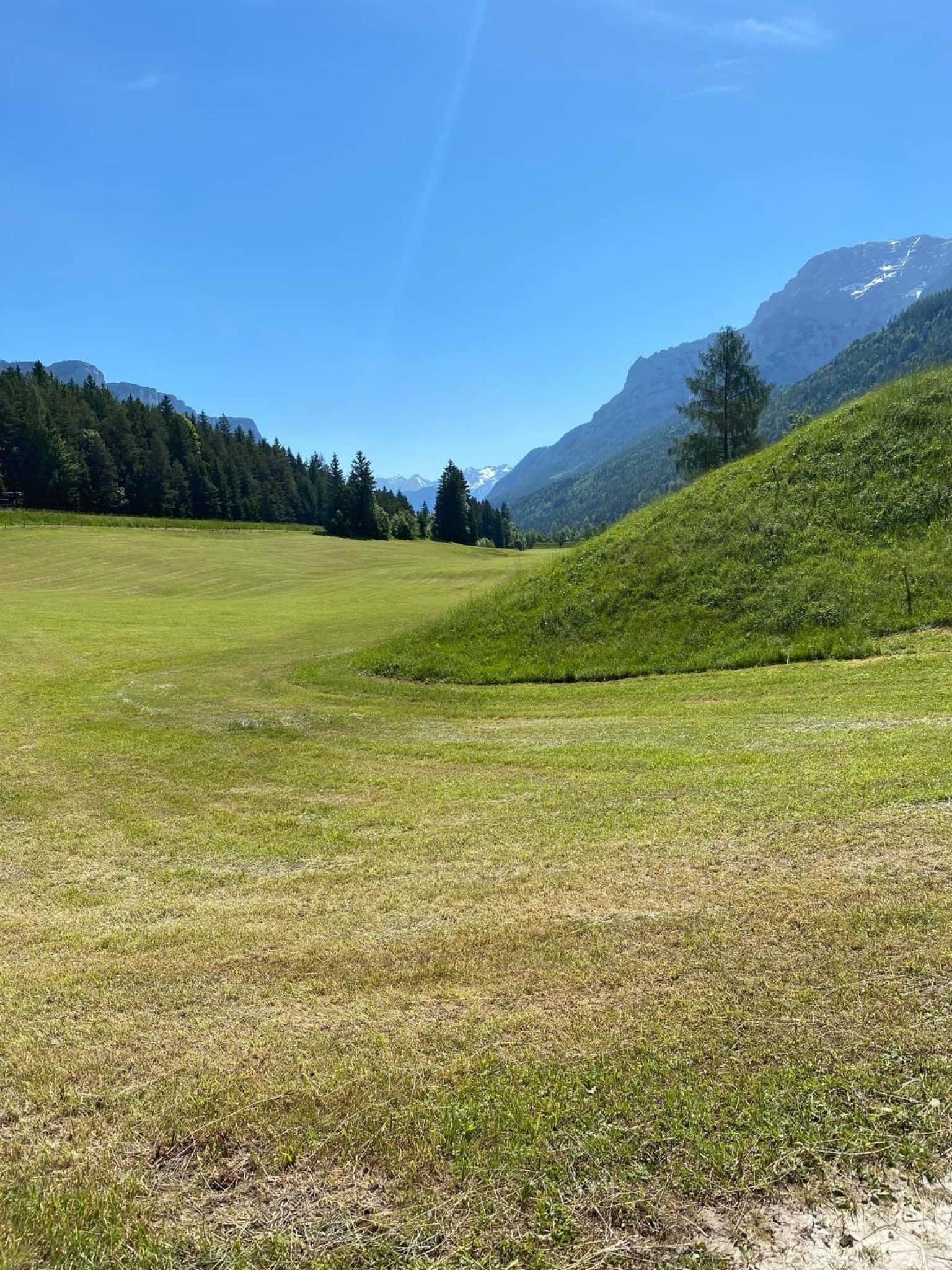 Haus Alpenrose