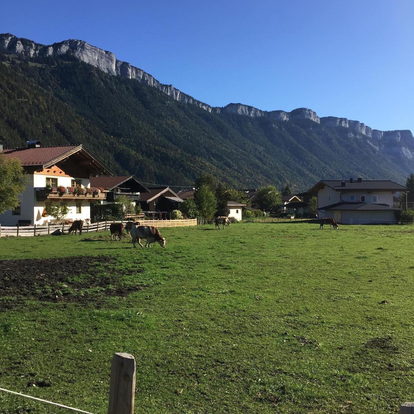 Haus Alpenrose