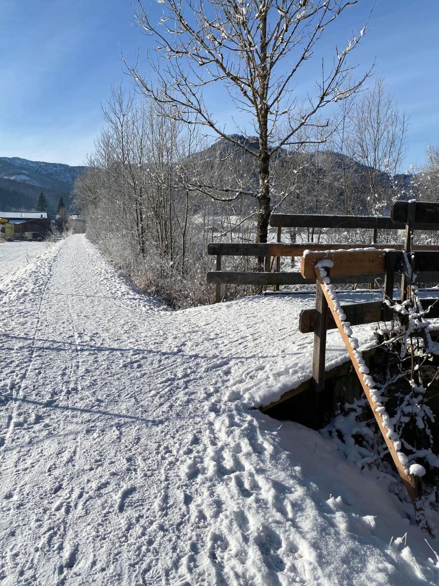 Haus Alpenrose