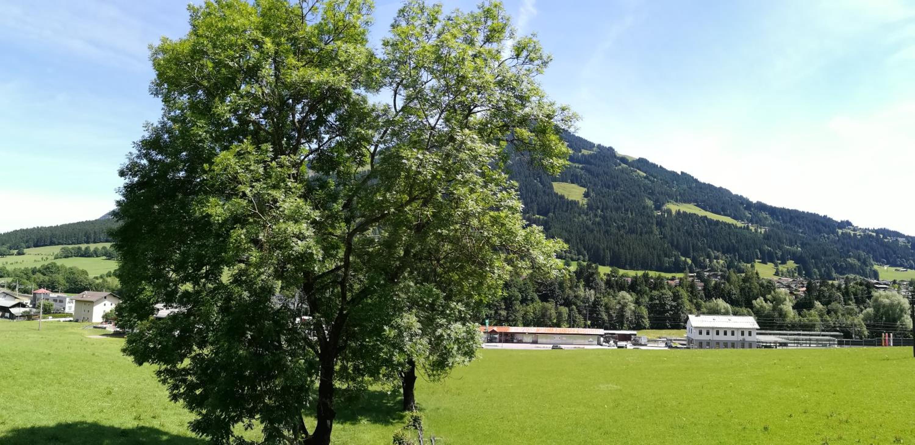 Appartement Sonnentraum