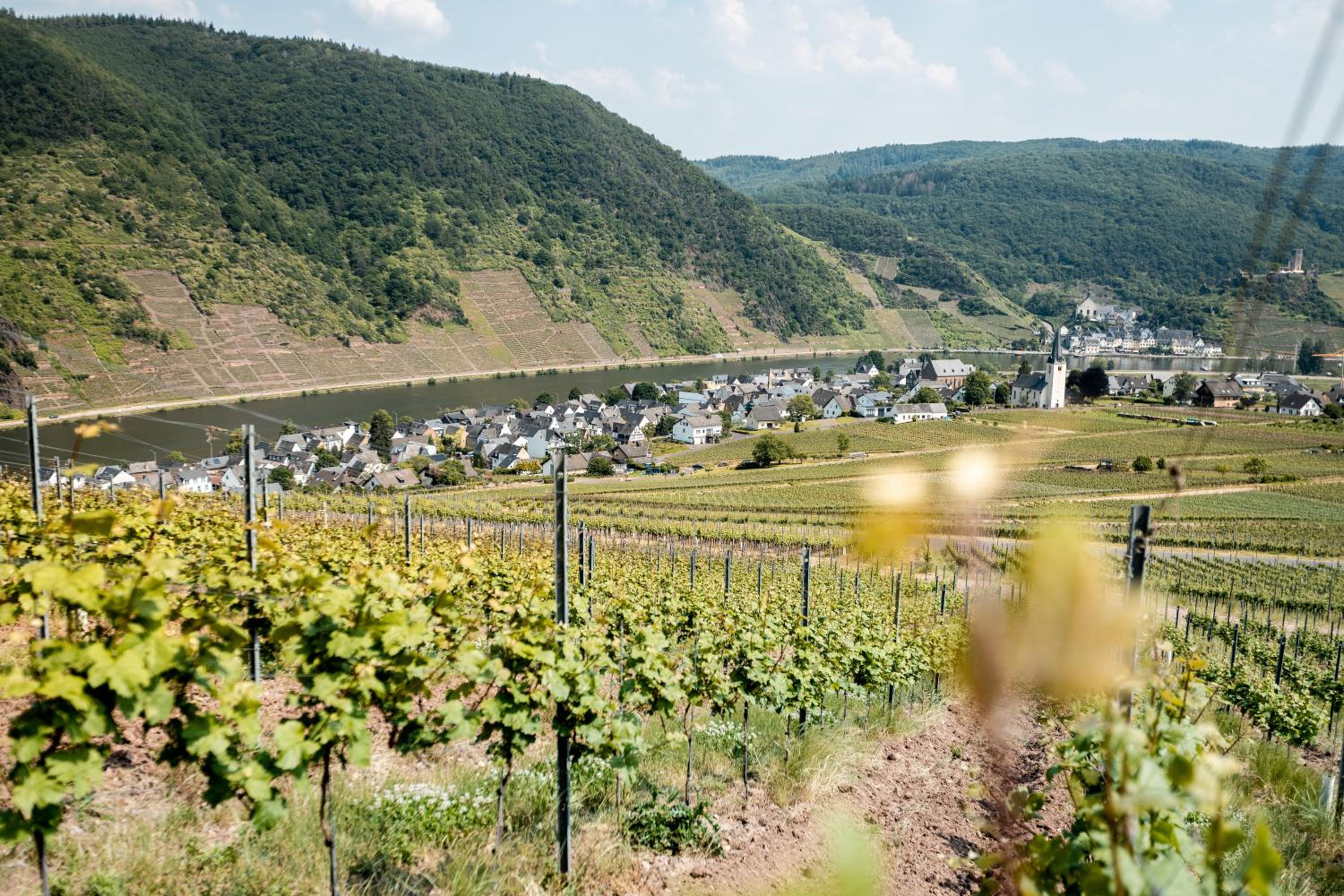 Seminarhaus Heim Retreat, Fachwerkhaus von 1451, Yoga, Naturgarten für 10 Personen
