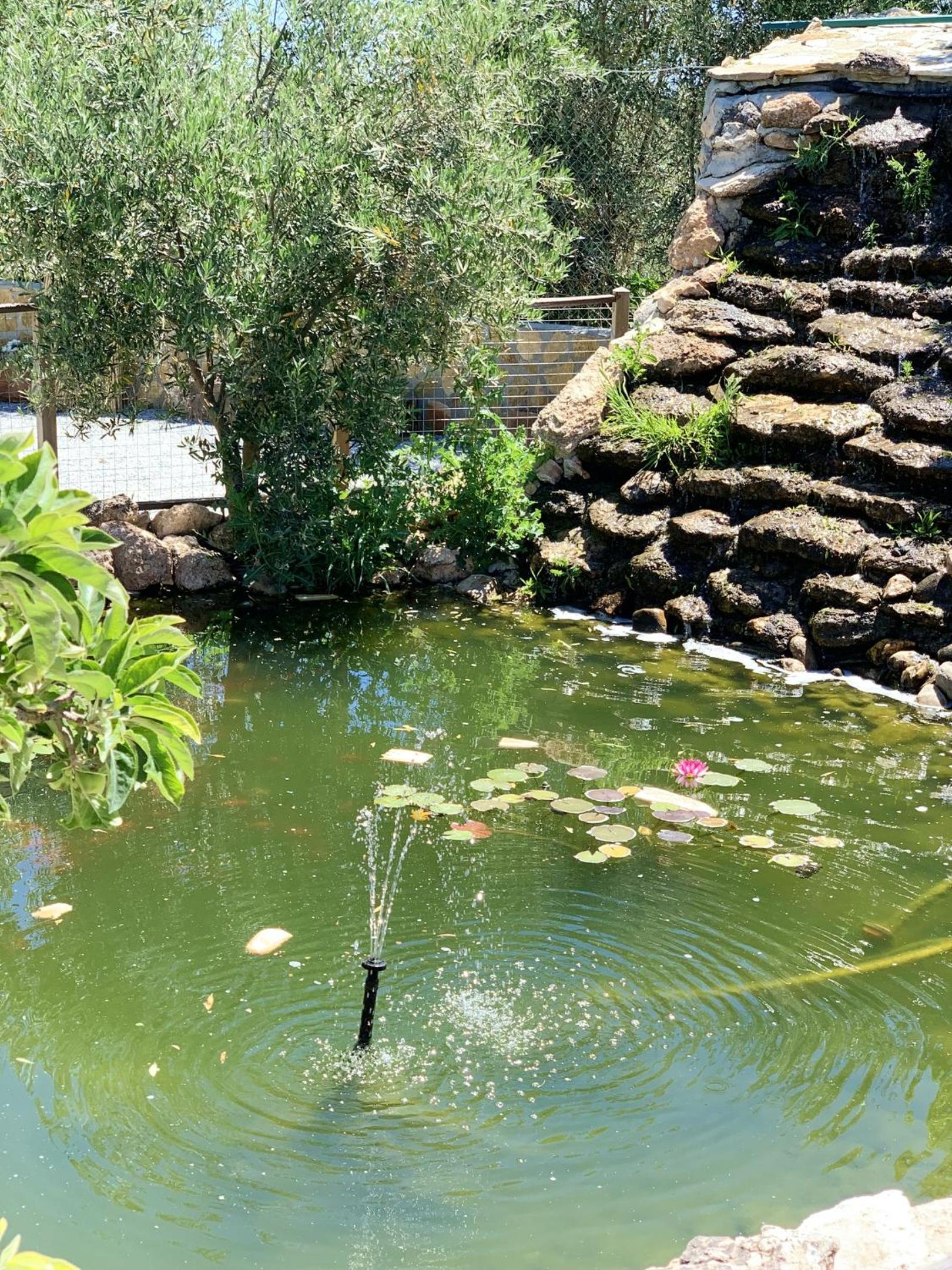 Spacious villa with mountain view and pool in Baza