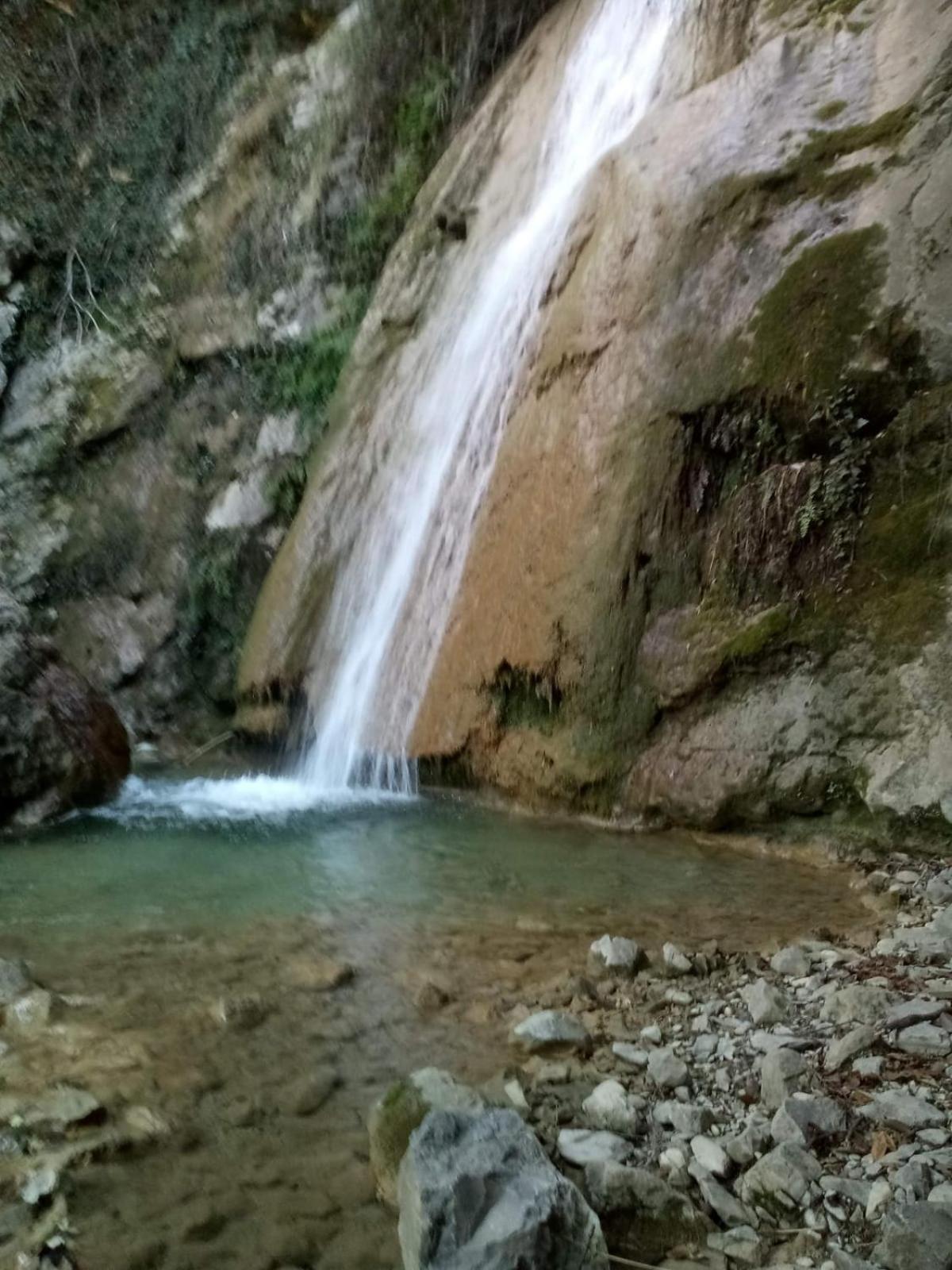 Photo 45