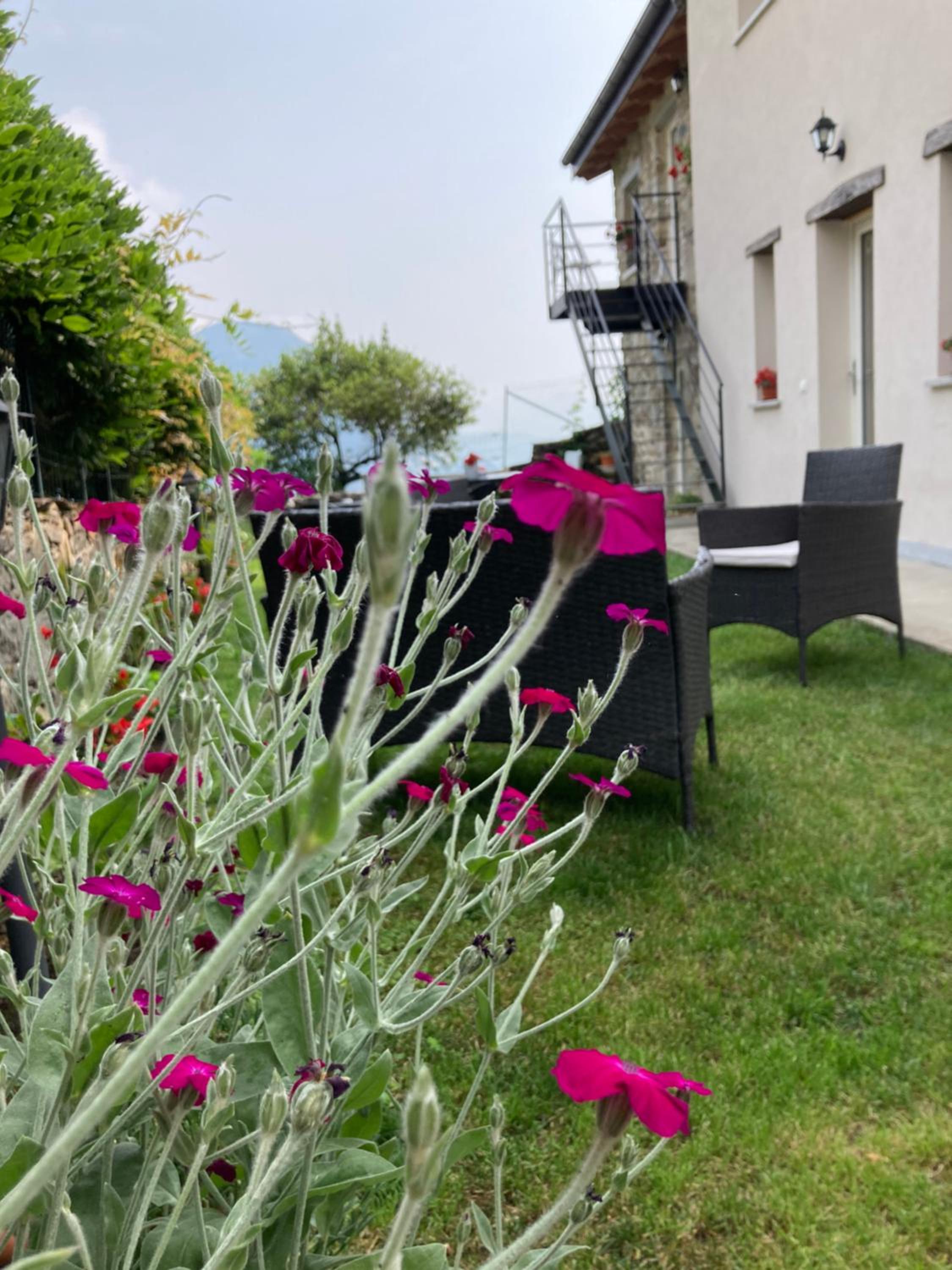 Il riccio di Ricciano