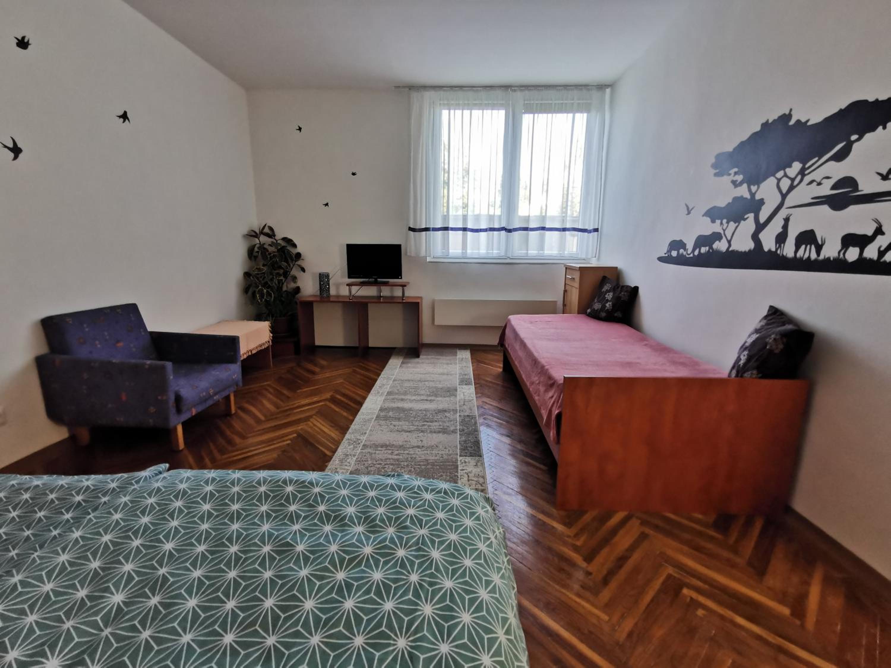 Arena Apartment