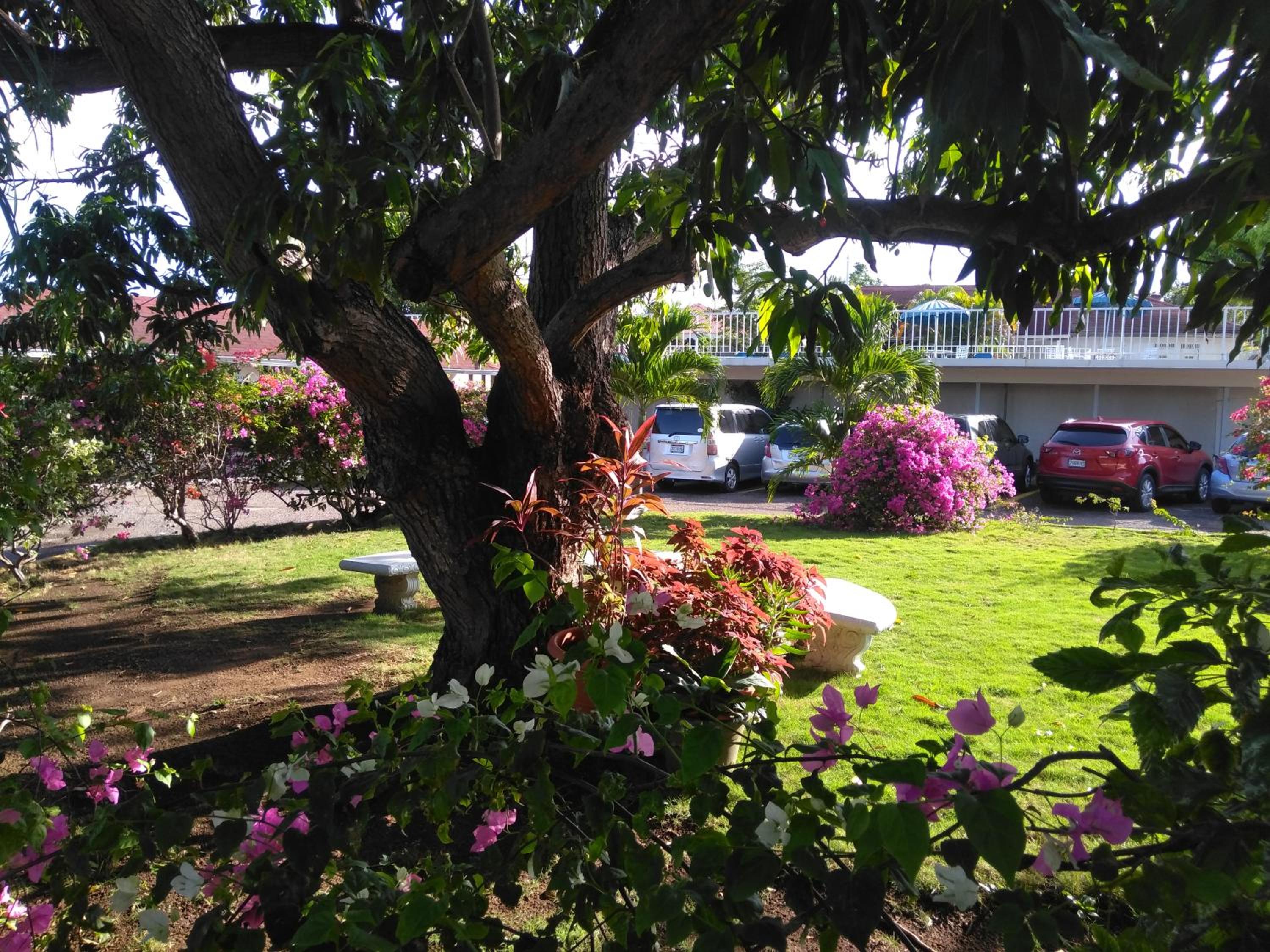 Irresistible View-Mobay Club 1408 view 2