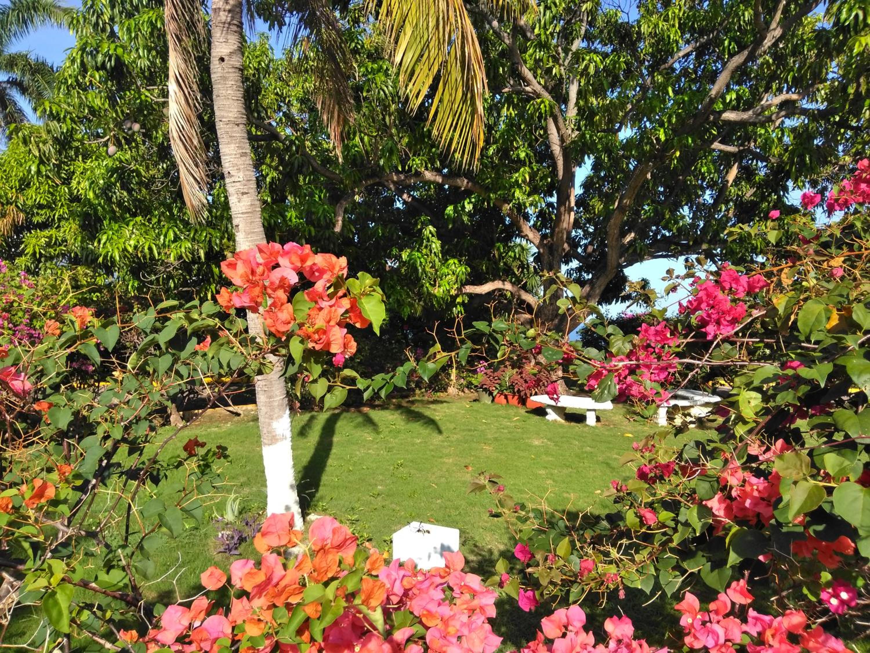 Irresistible View-Mobay Club 1408 view 3