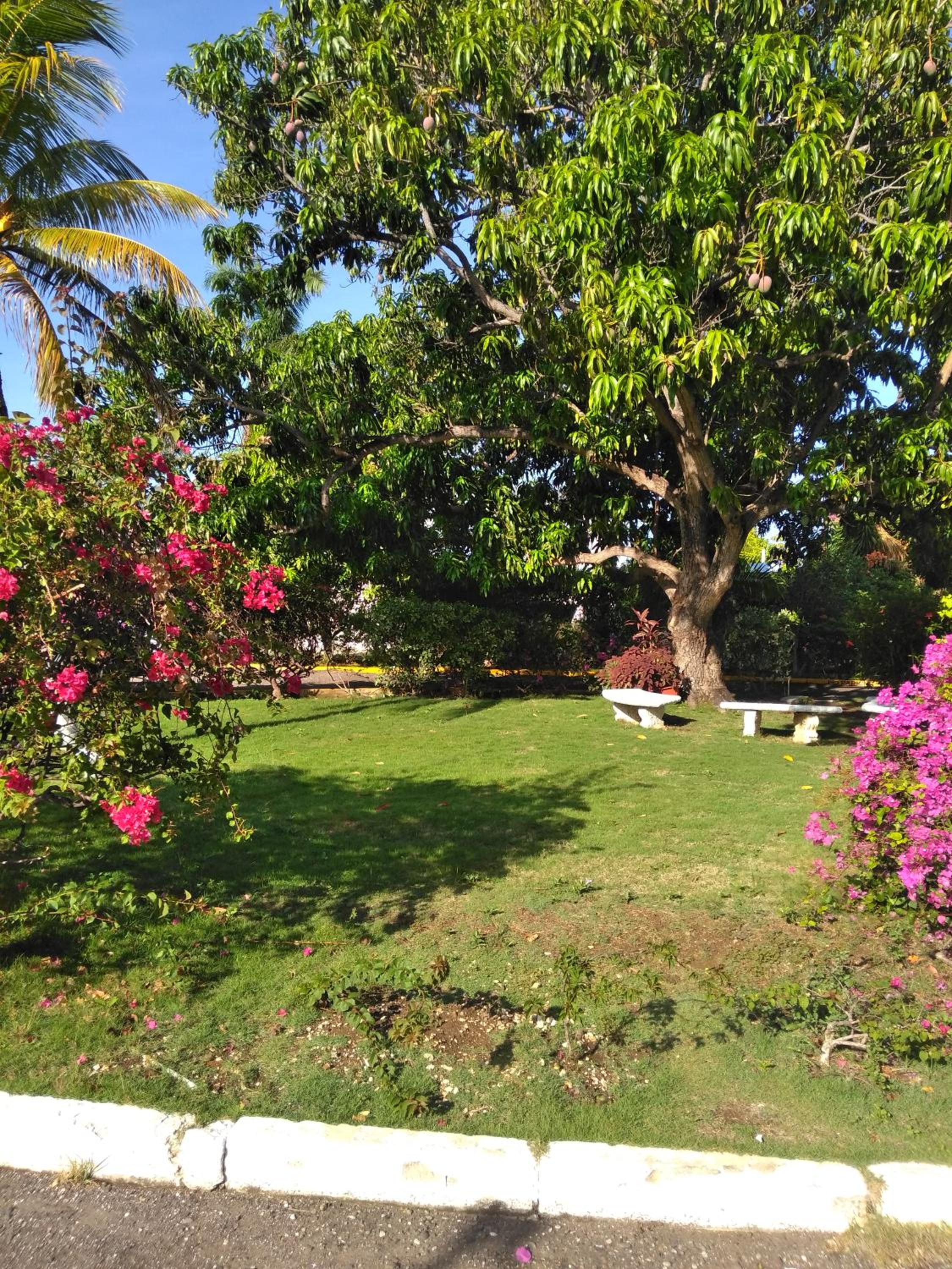 Irresistible View-Mobay Club 1408 view 4
