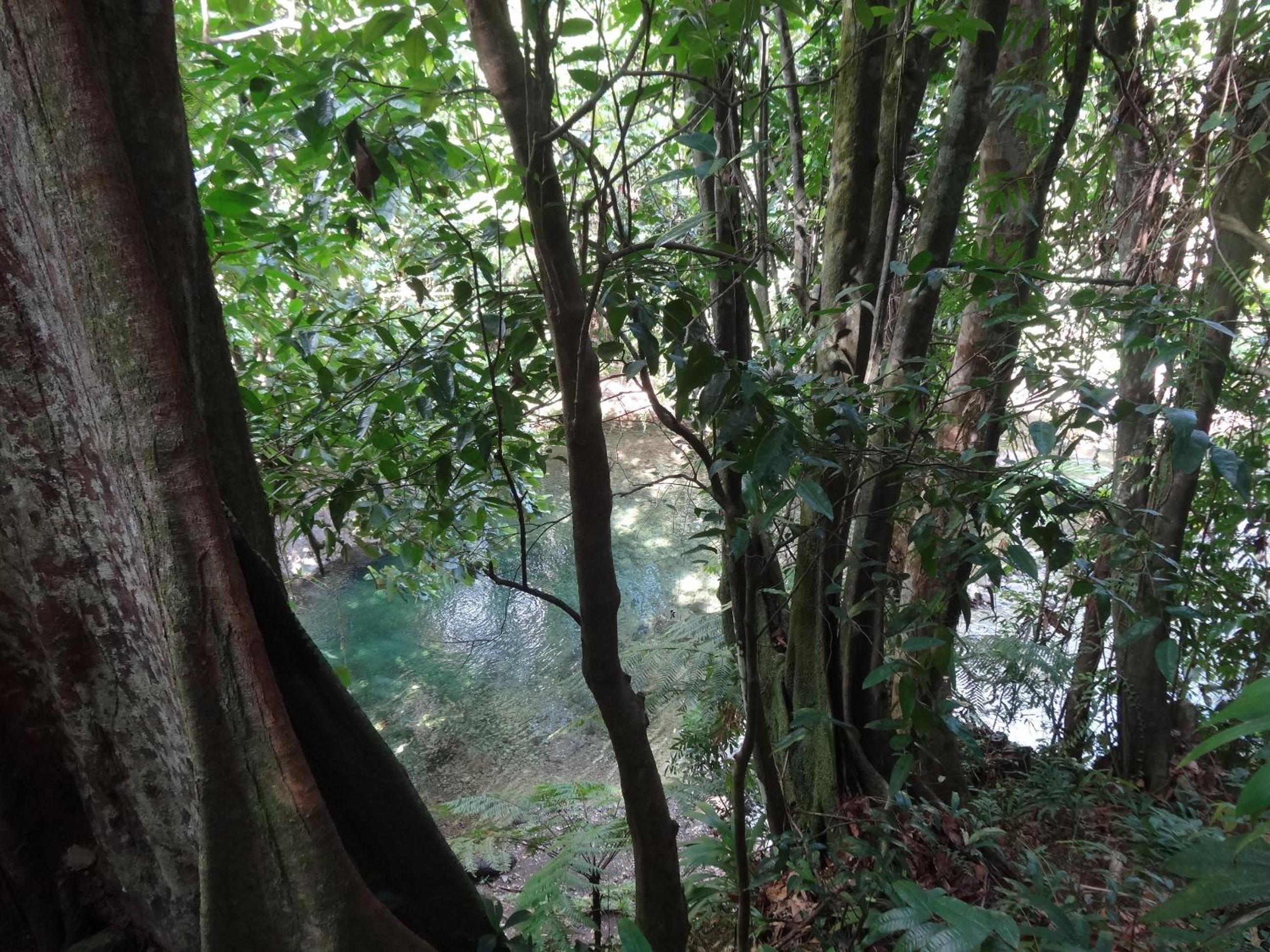 3 Rivers Eco Lodge