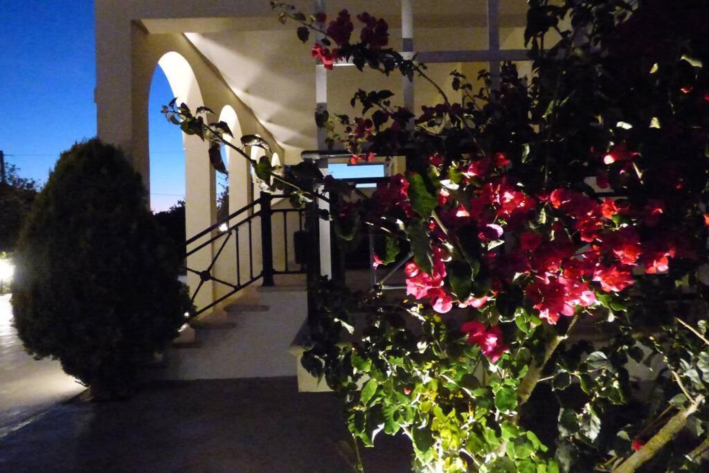AGIOS LEON Apartment 3 view 5