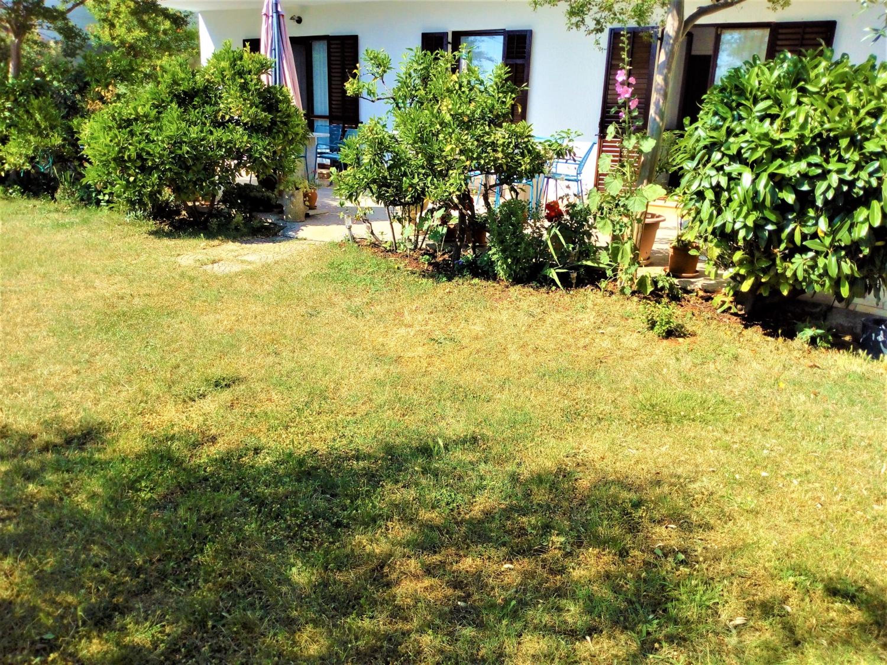 Photo 36