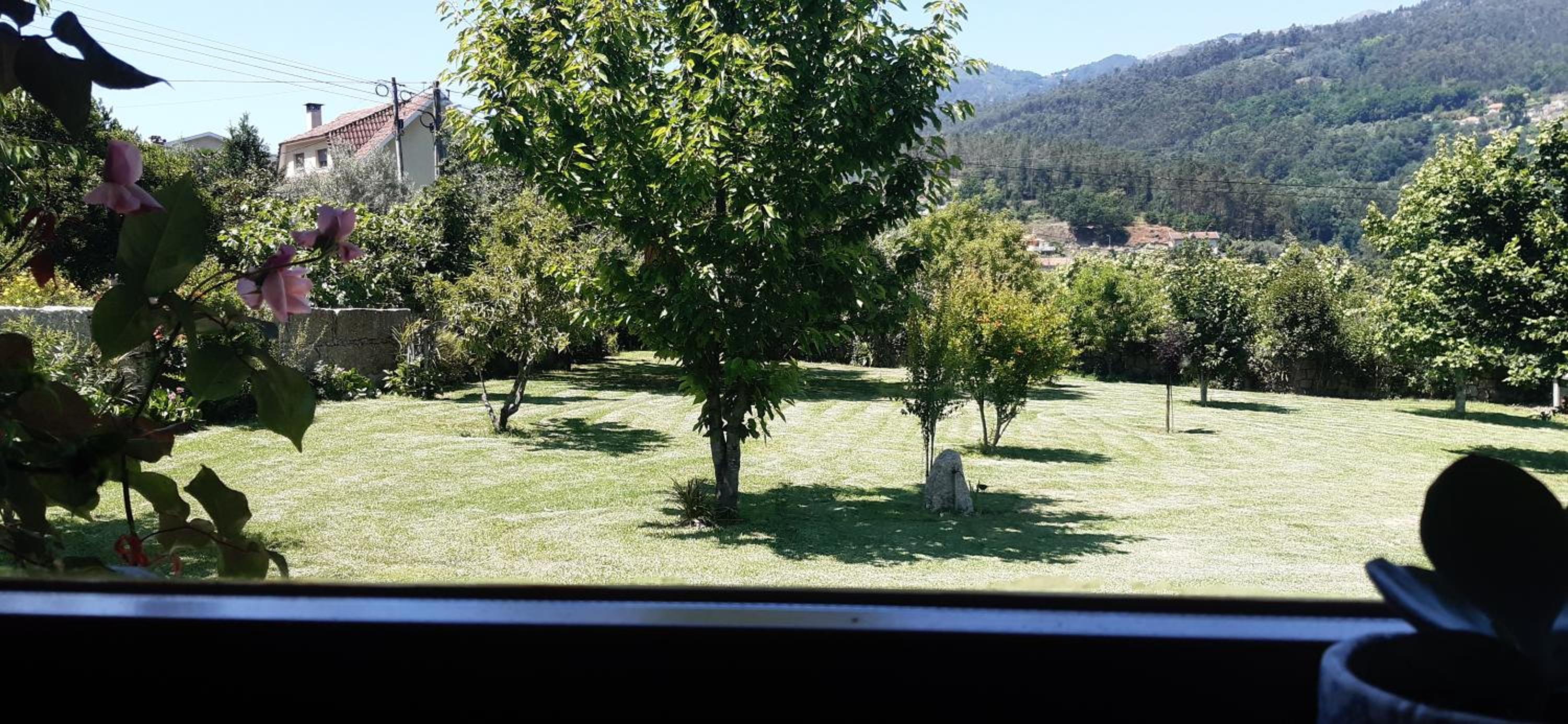 Photo 37