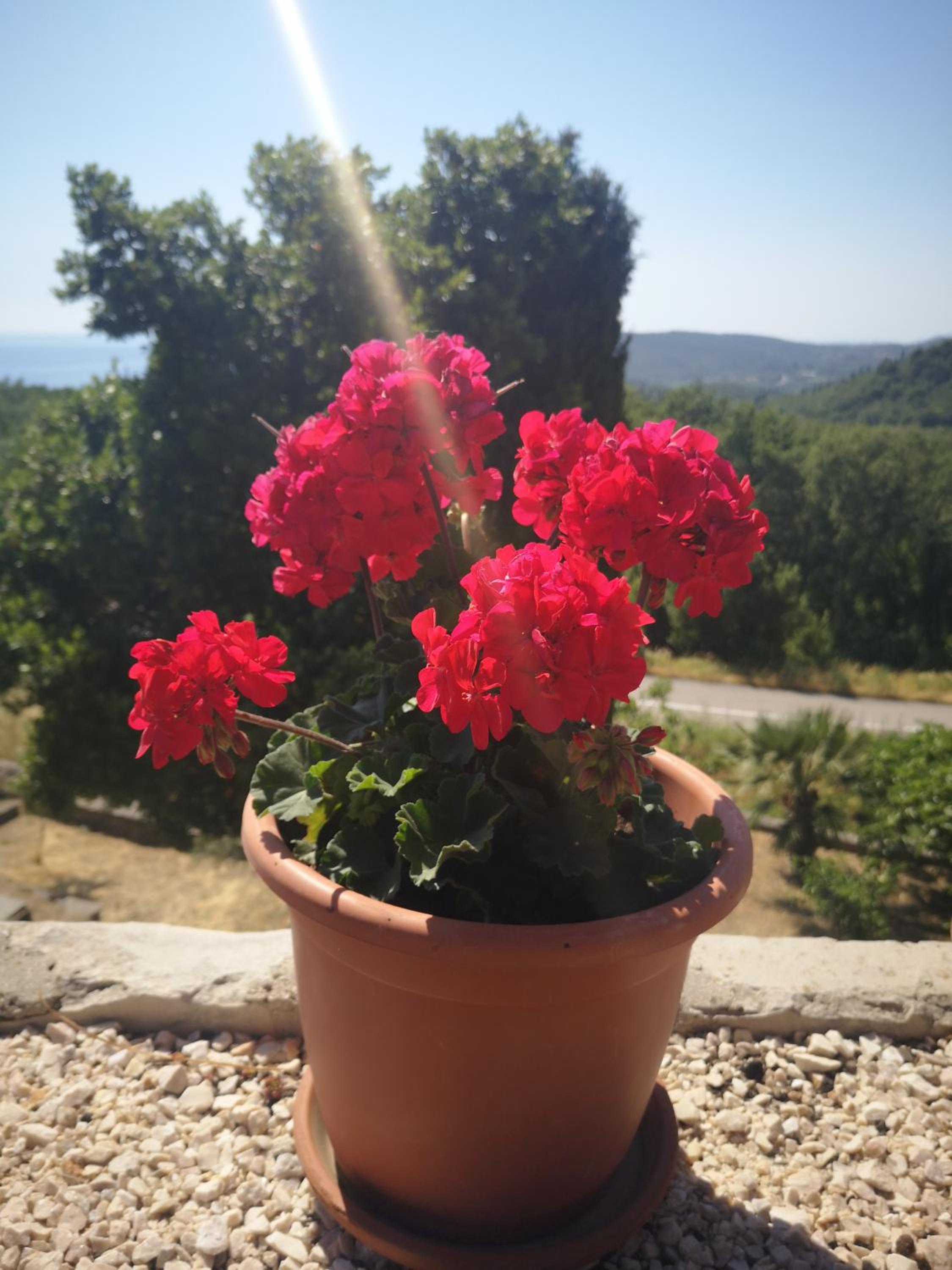 Kuća Cvjetković view 2