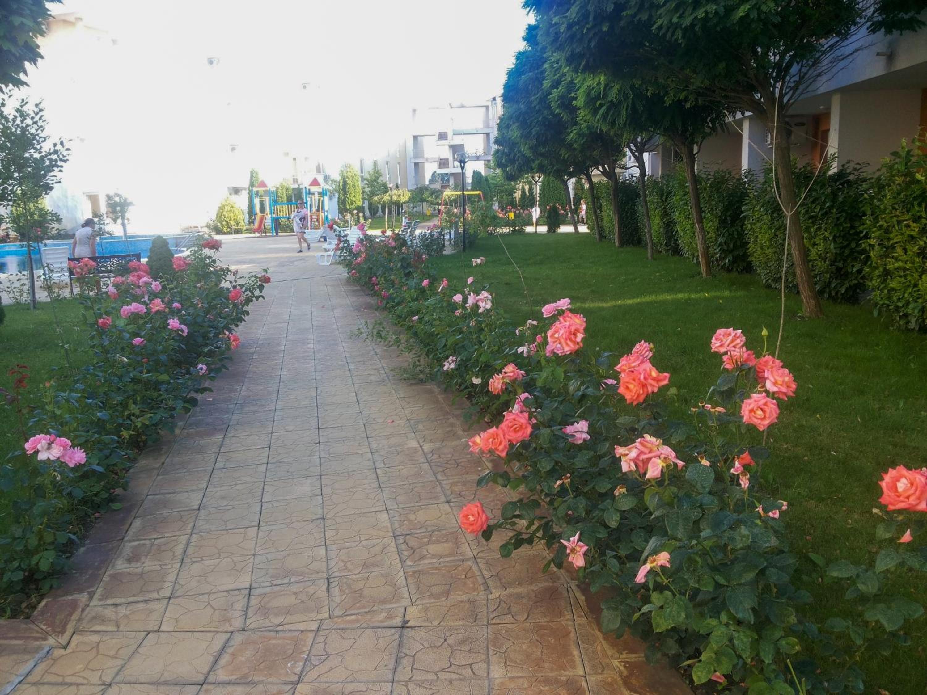 Photo 10