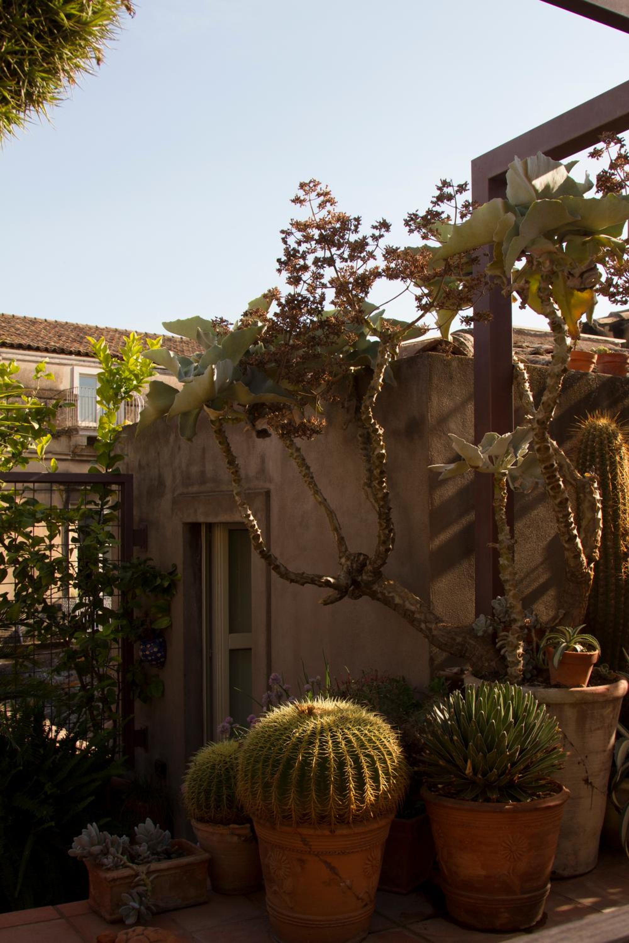 Tre Vie apARTment con terrazza
