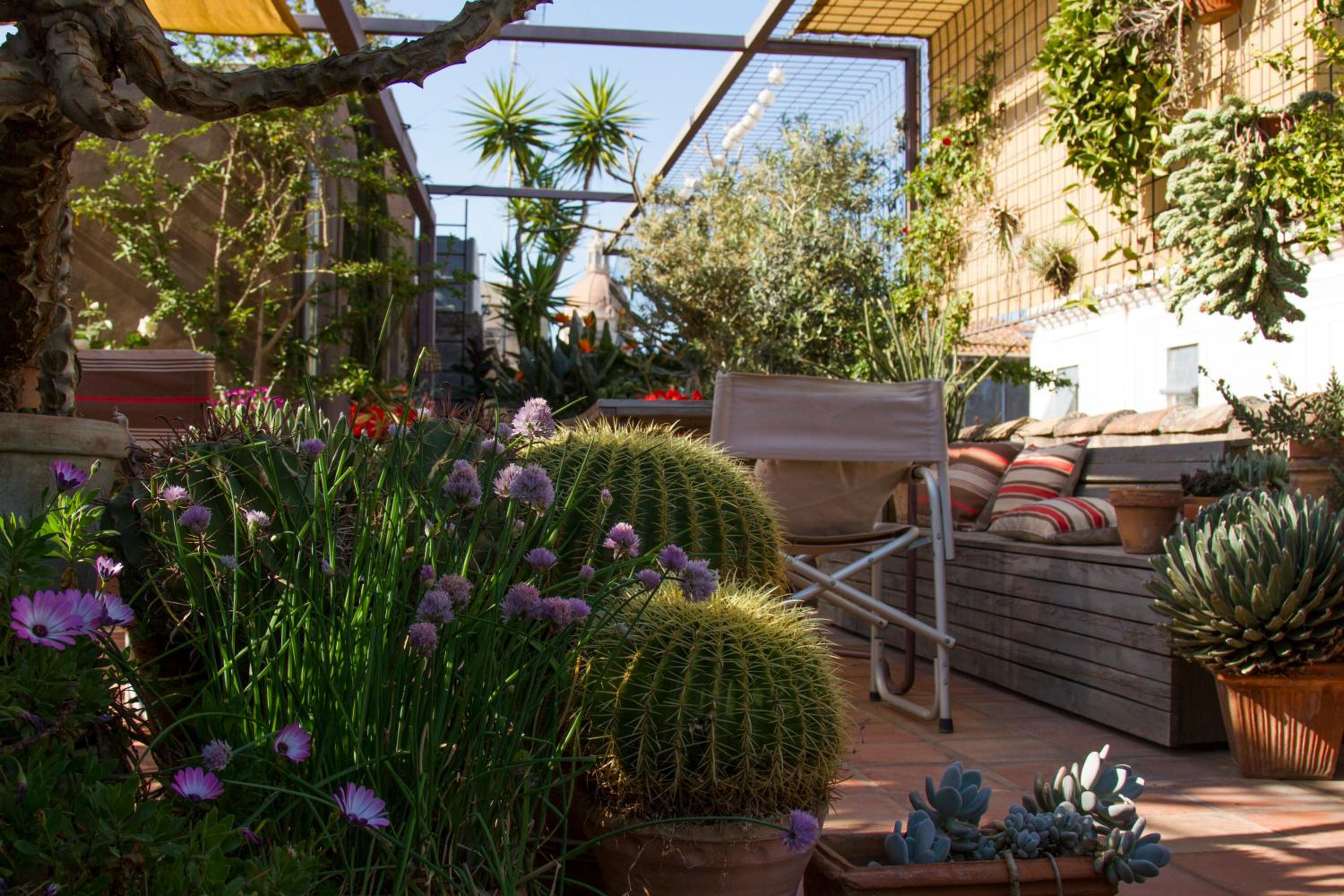 Tre Vie apARTment con terrazza