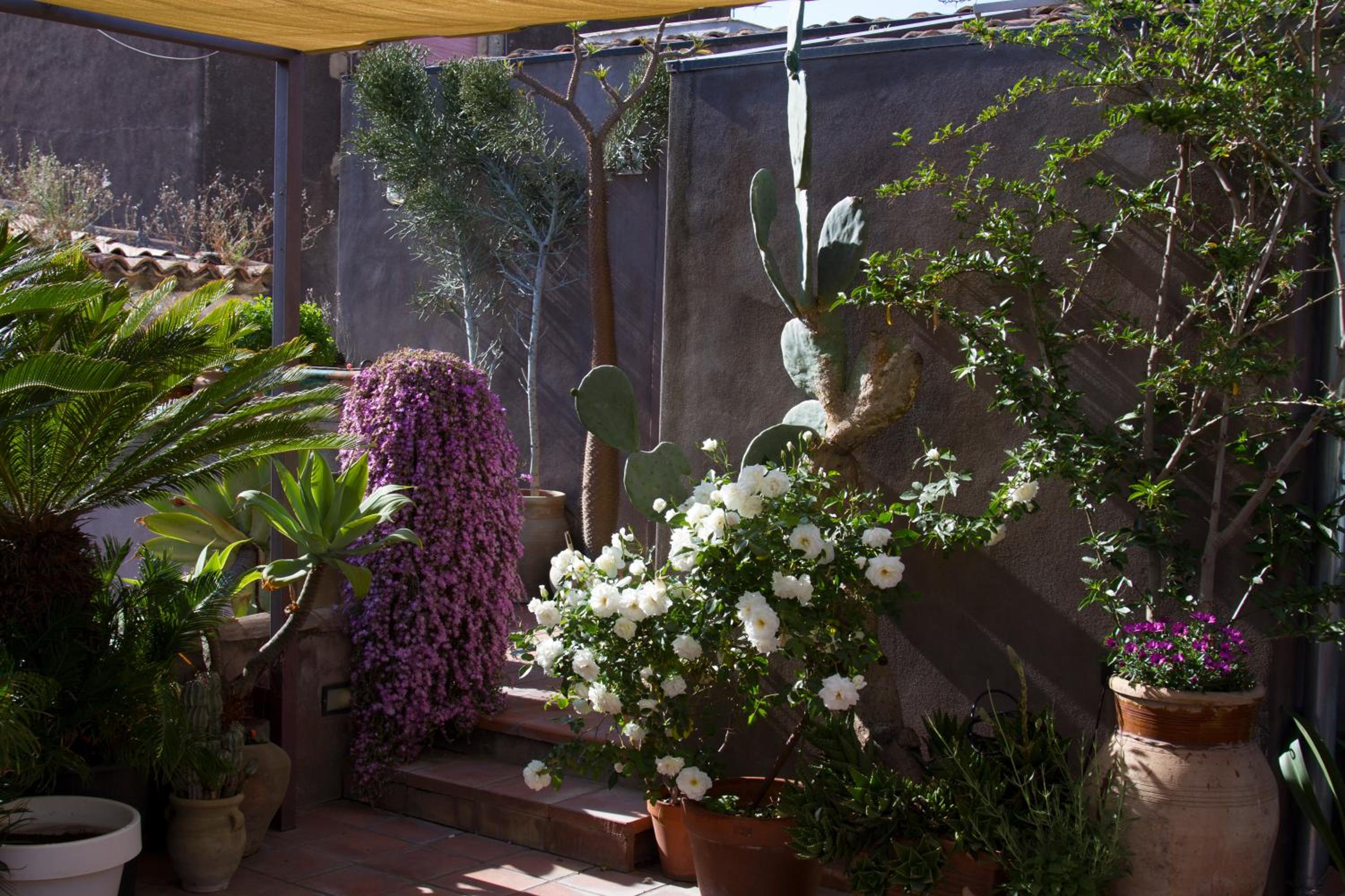 Tre Vie apARTment con terrazza