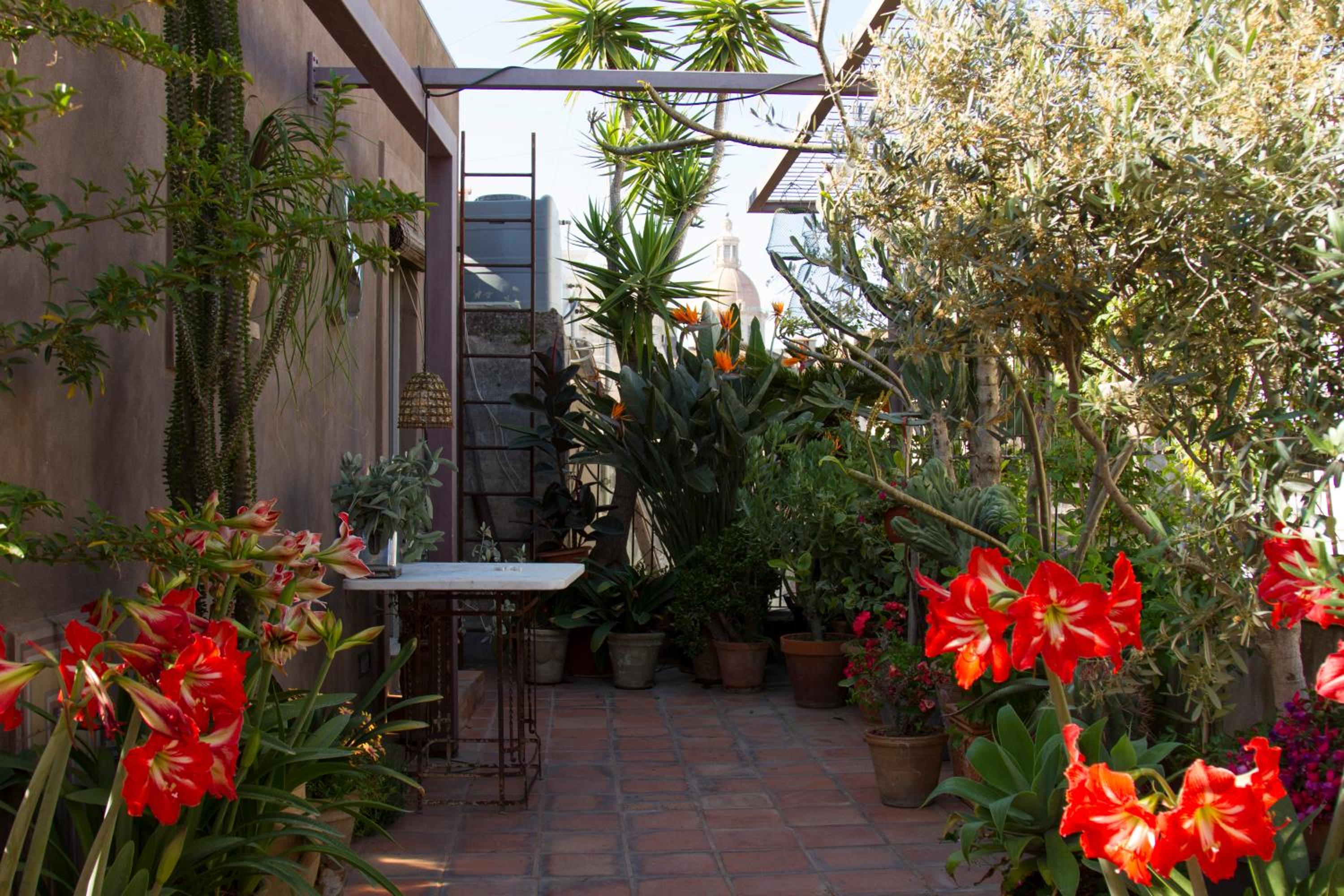 Tre Vie apARTment con terrazza