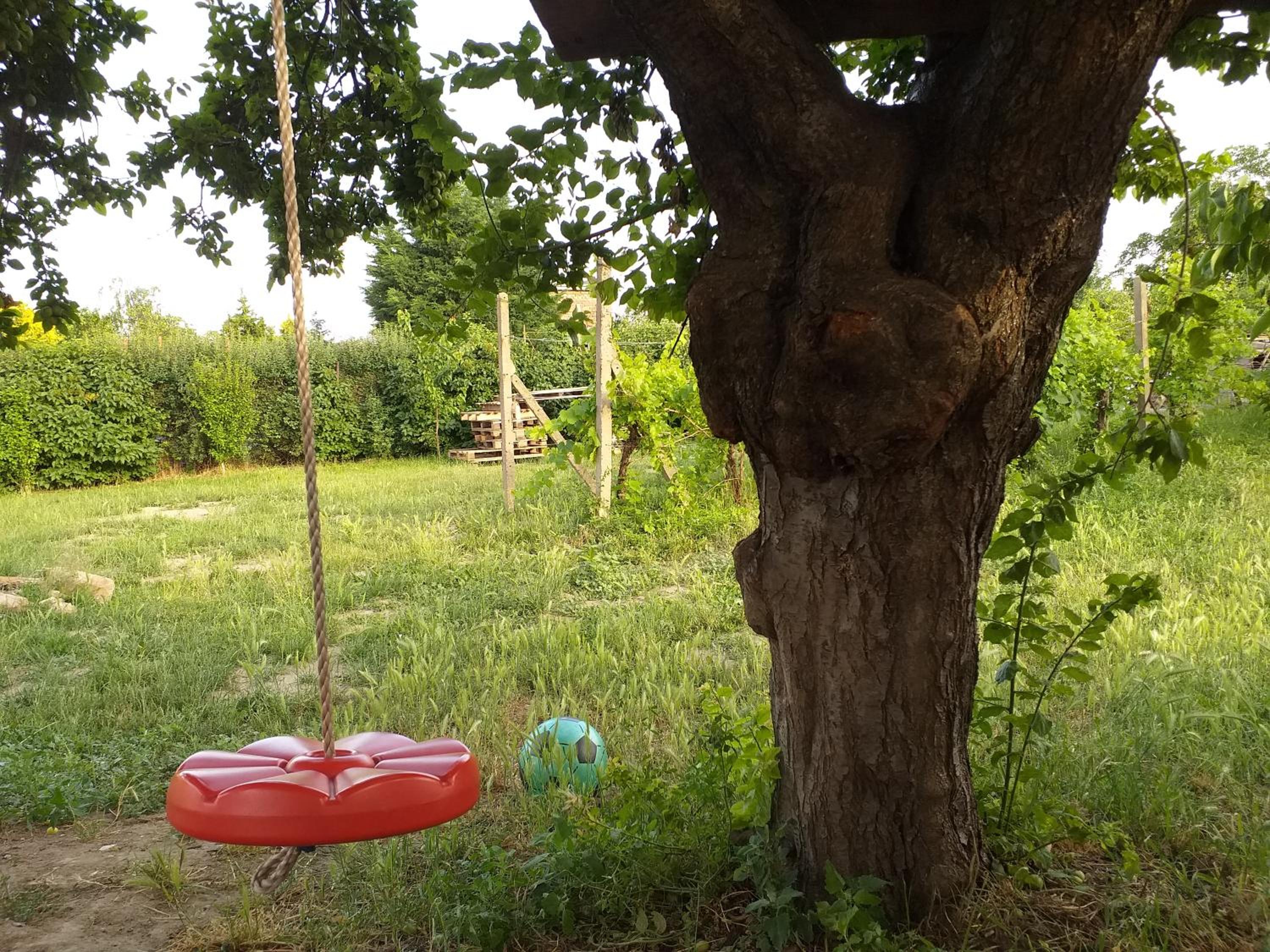 Photo 43