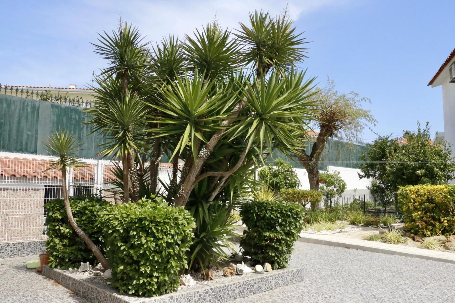 Casa Teresinha