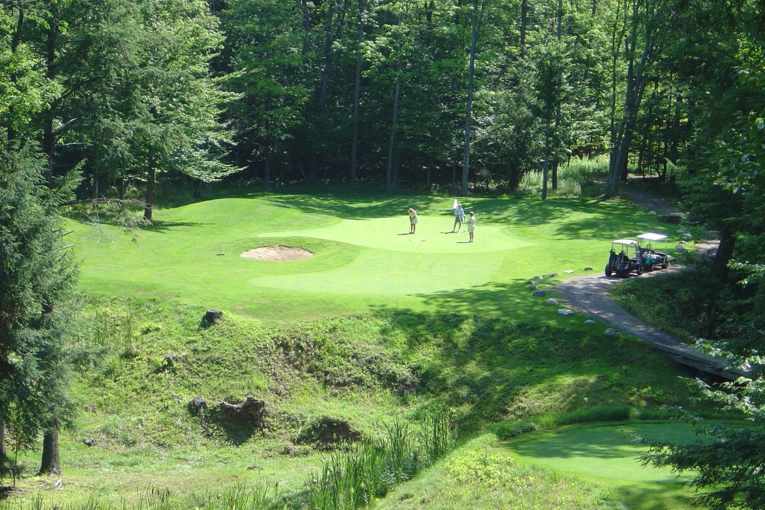Caberfae Peaks Ski  Golf Resort - Property Image 4