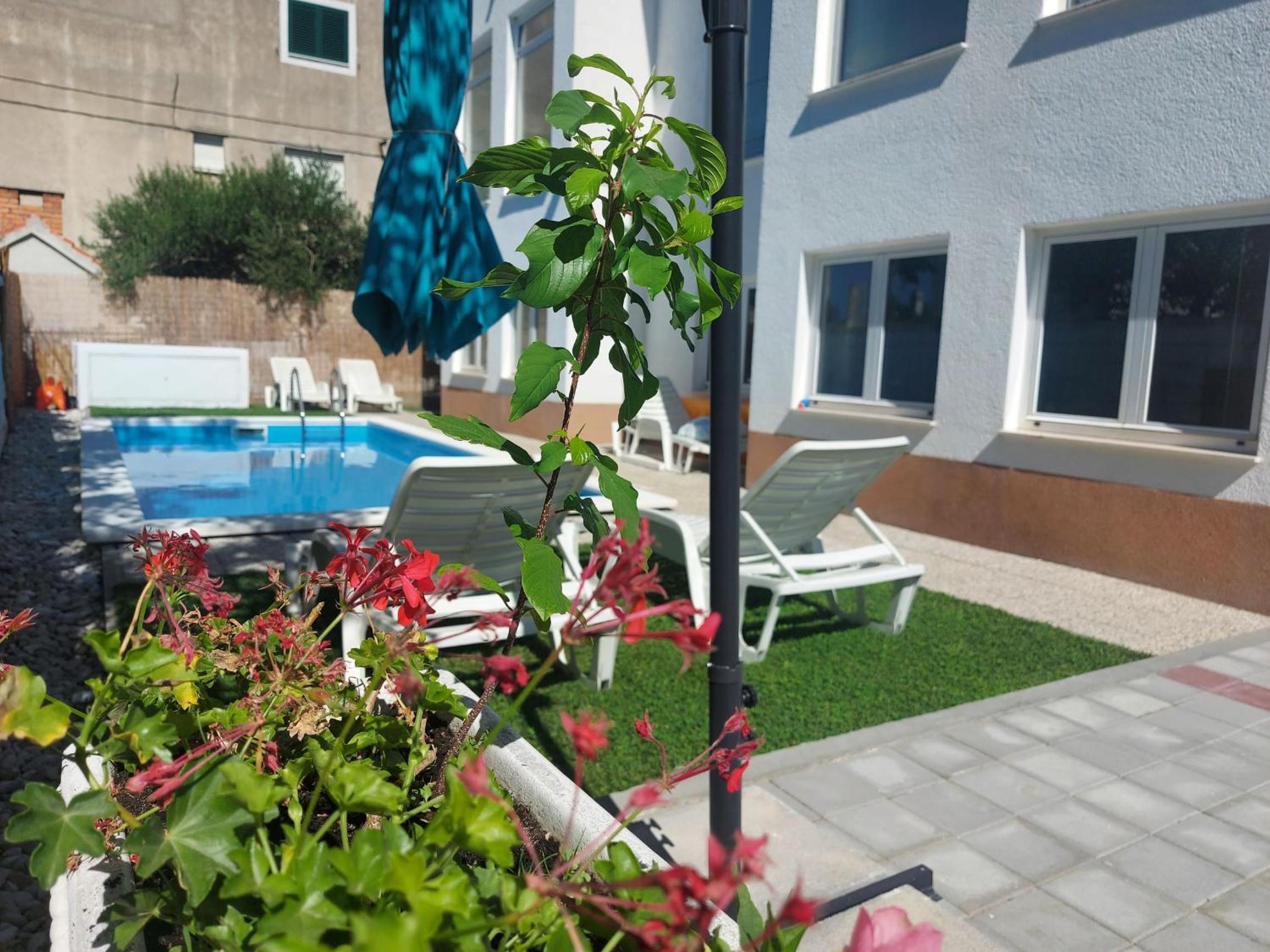 Apartments Karadza view 3