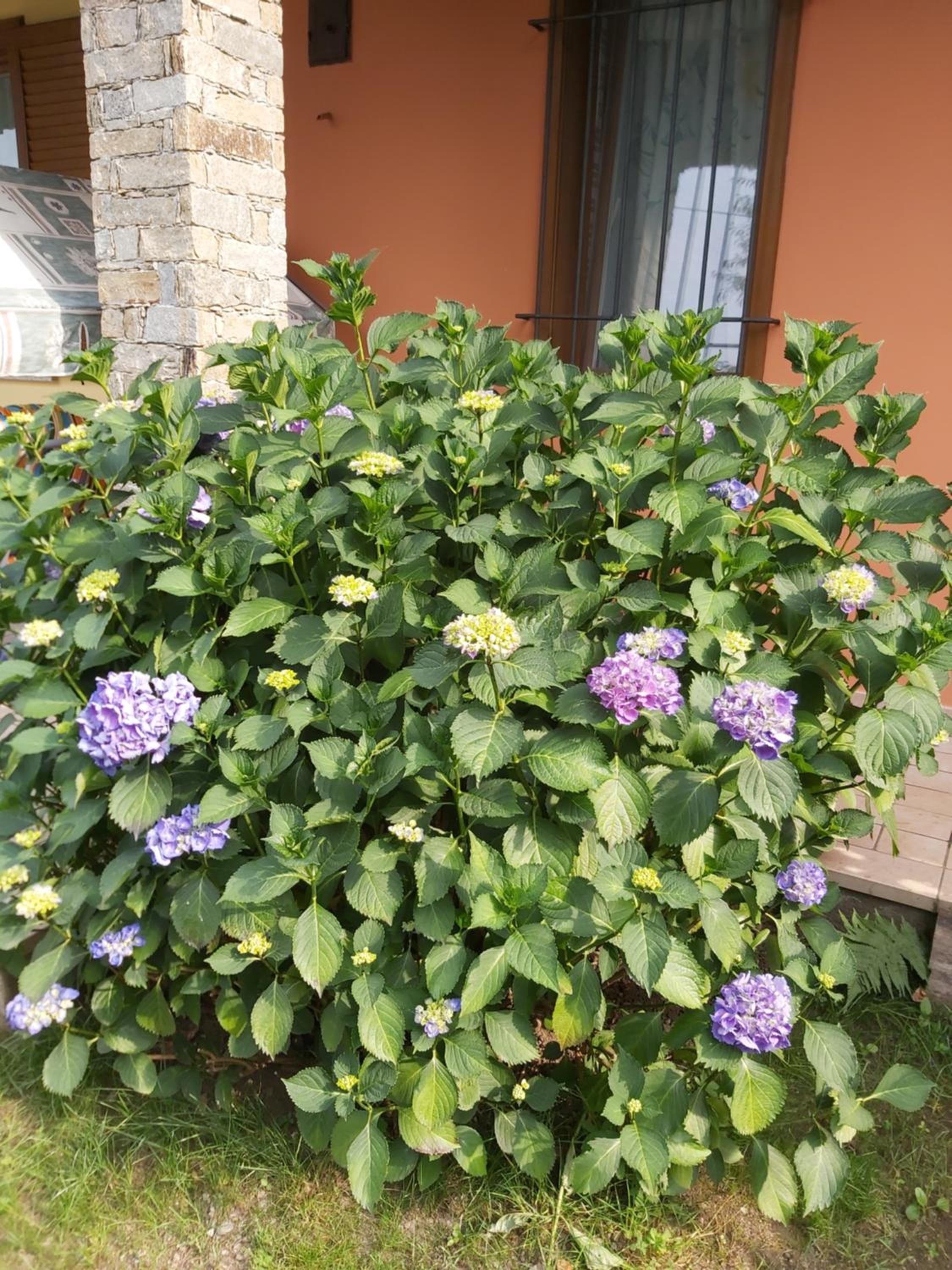 G&G1 Appartamento con giardino privato