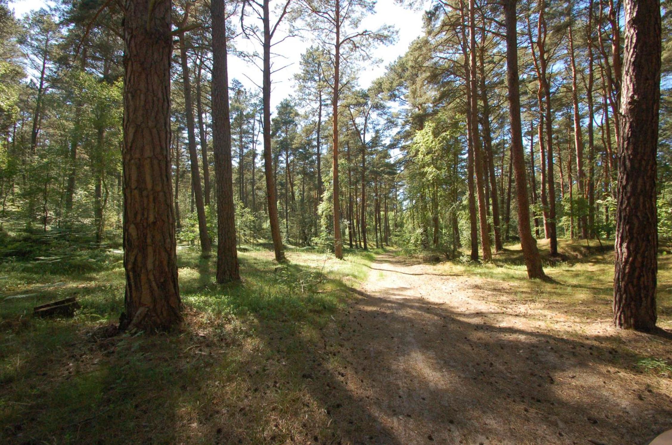 Photo 30